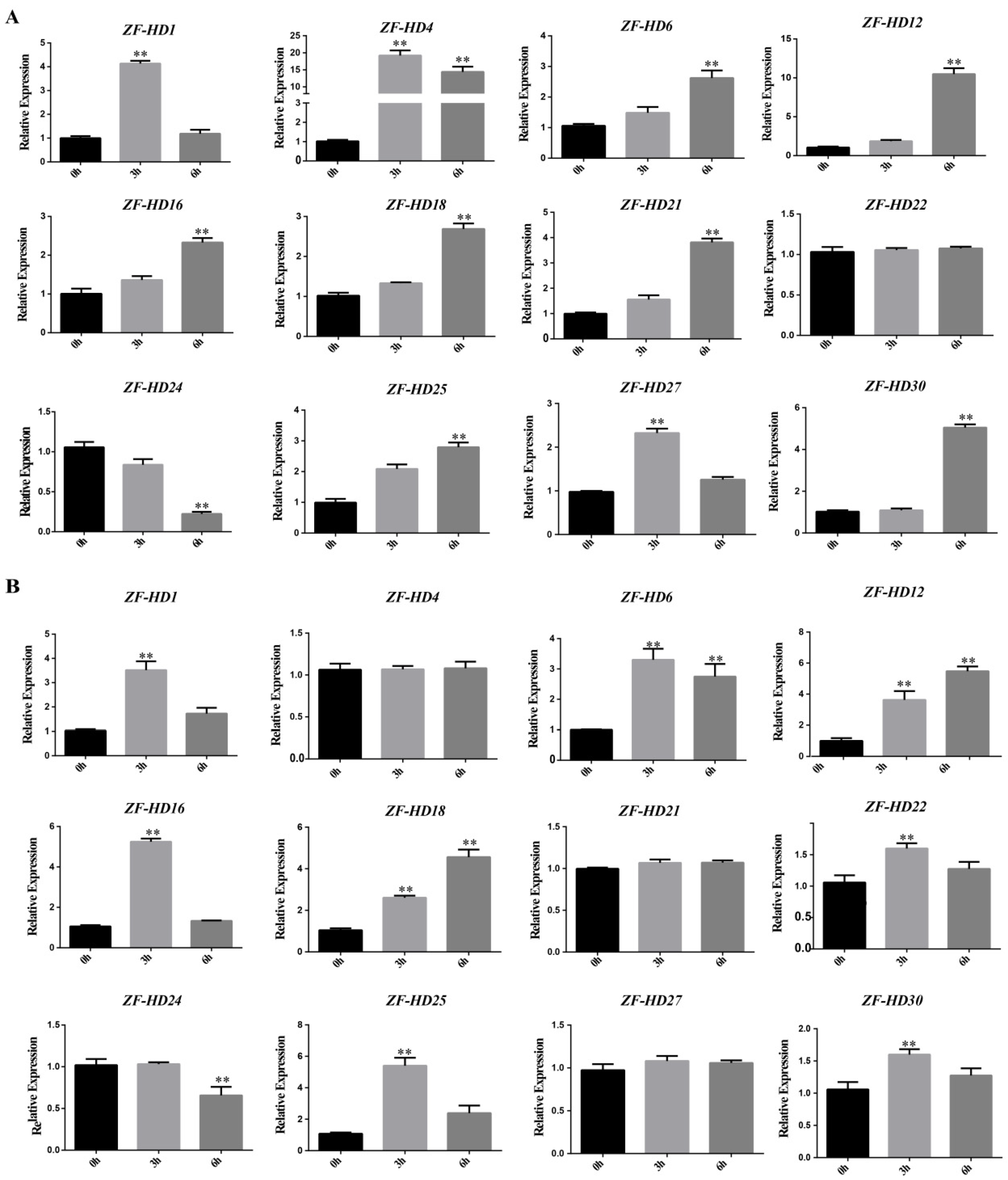 Agronomy 11 00406 g004 Agronomy 11 00406 g004