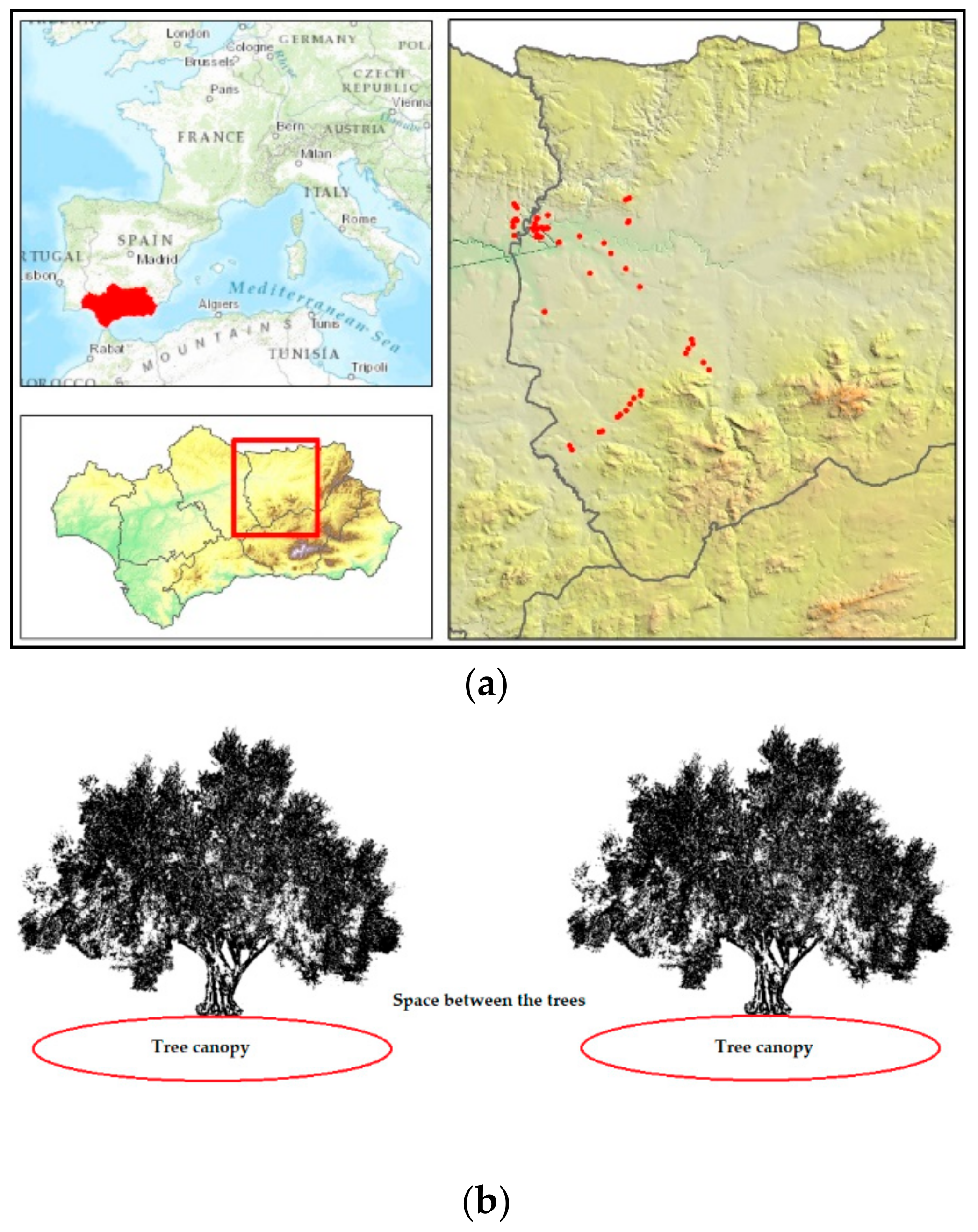 Agronomy 11 00412 g001 Agronomy 11 00412 g001