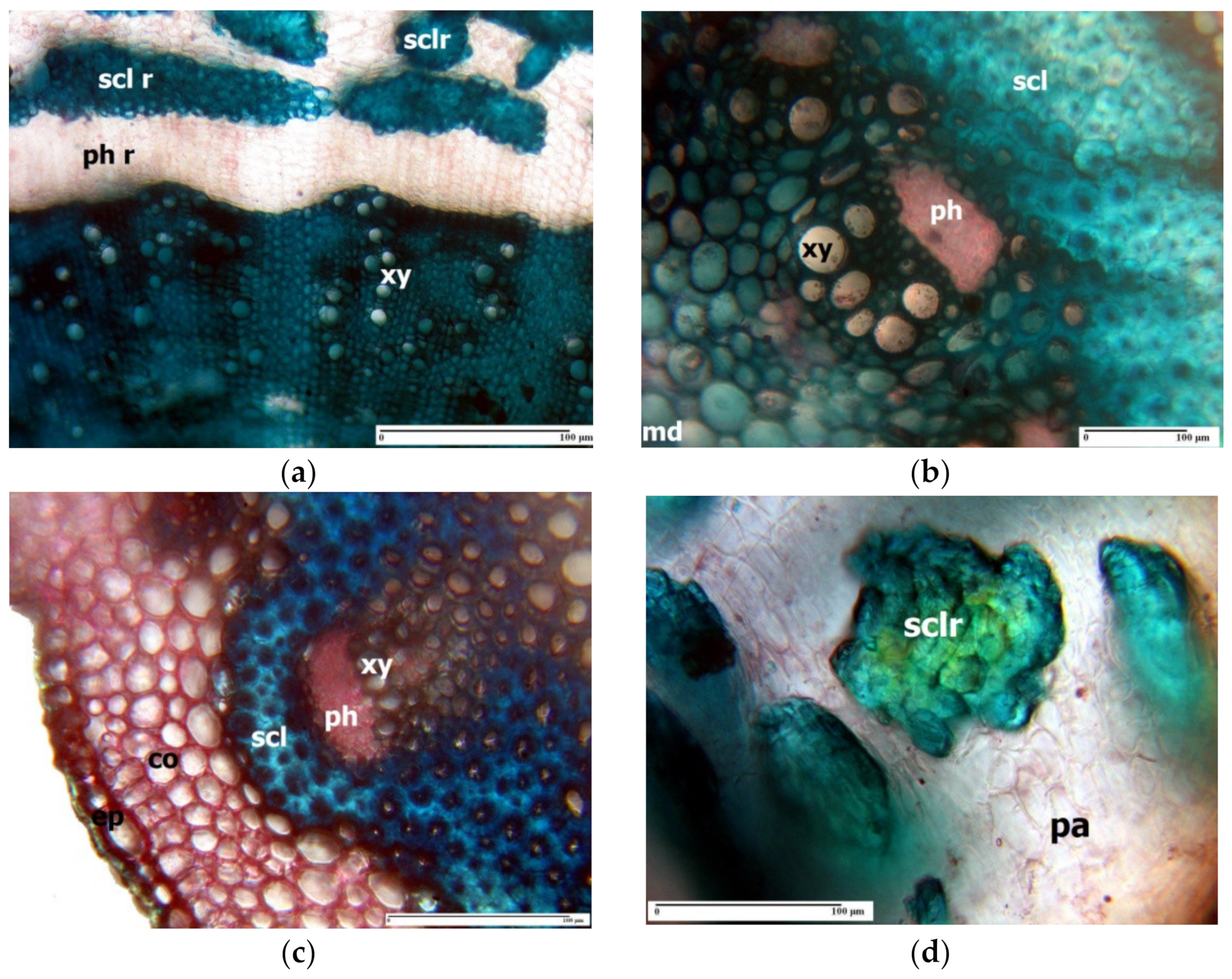 Agronomy 11 00413 g002 Agronomy 11 00413 g002