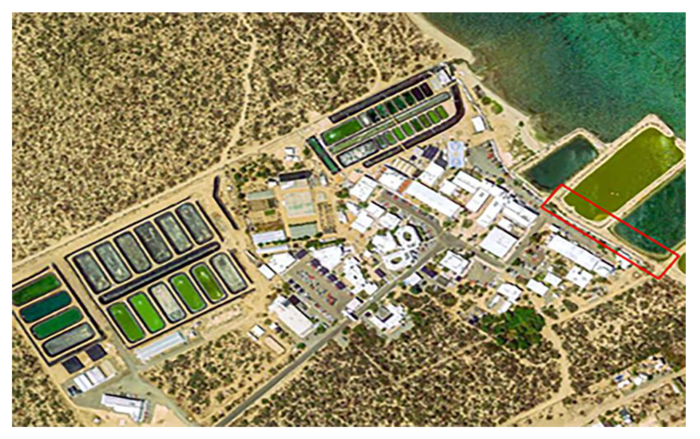 Agronomy 11 00424 g001 Agronomy 11 00424 g001