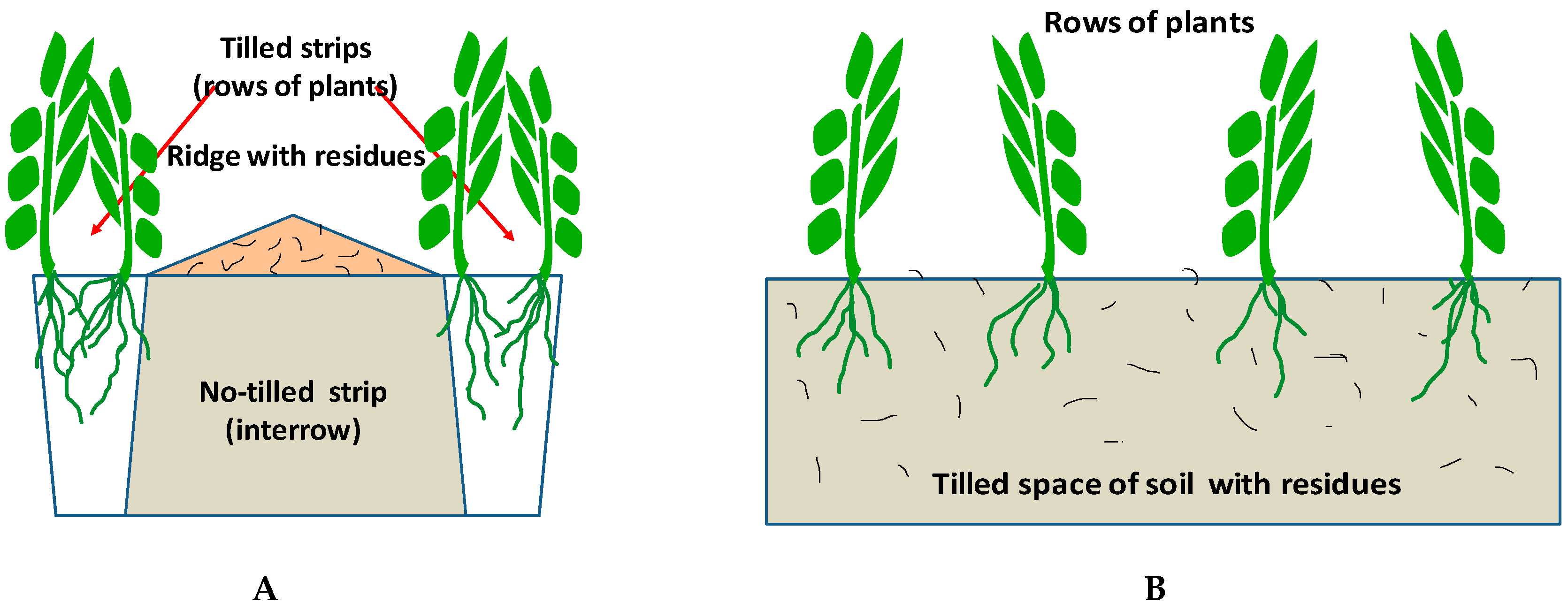 Agronomy 11 00426 g001