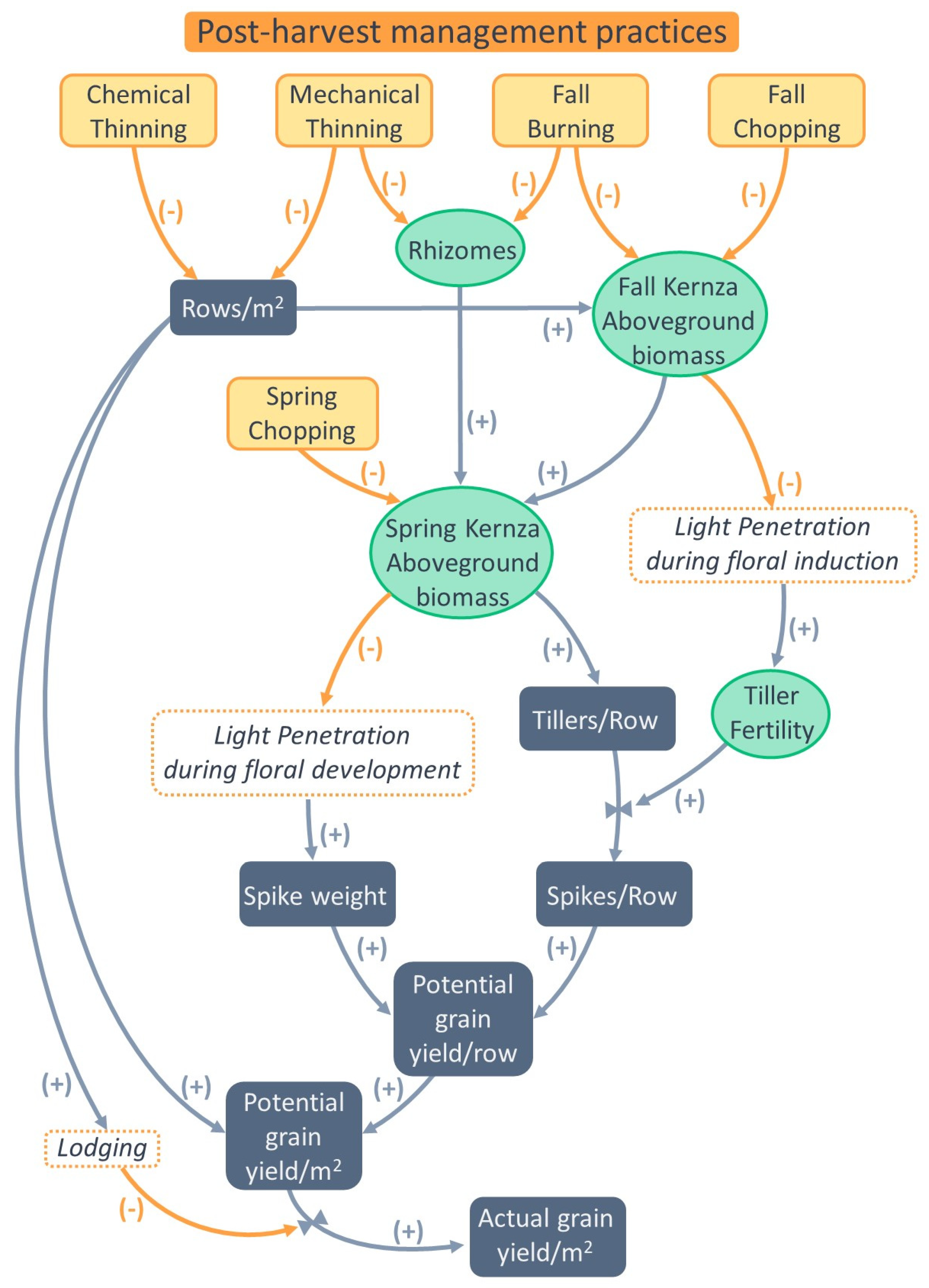 Agronomy 11 00442 g004 Agronomy 11 00442 g004