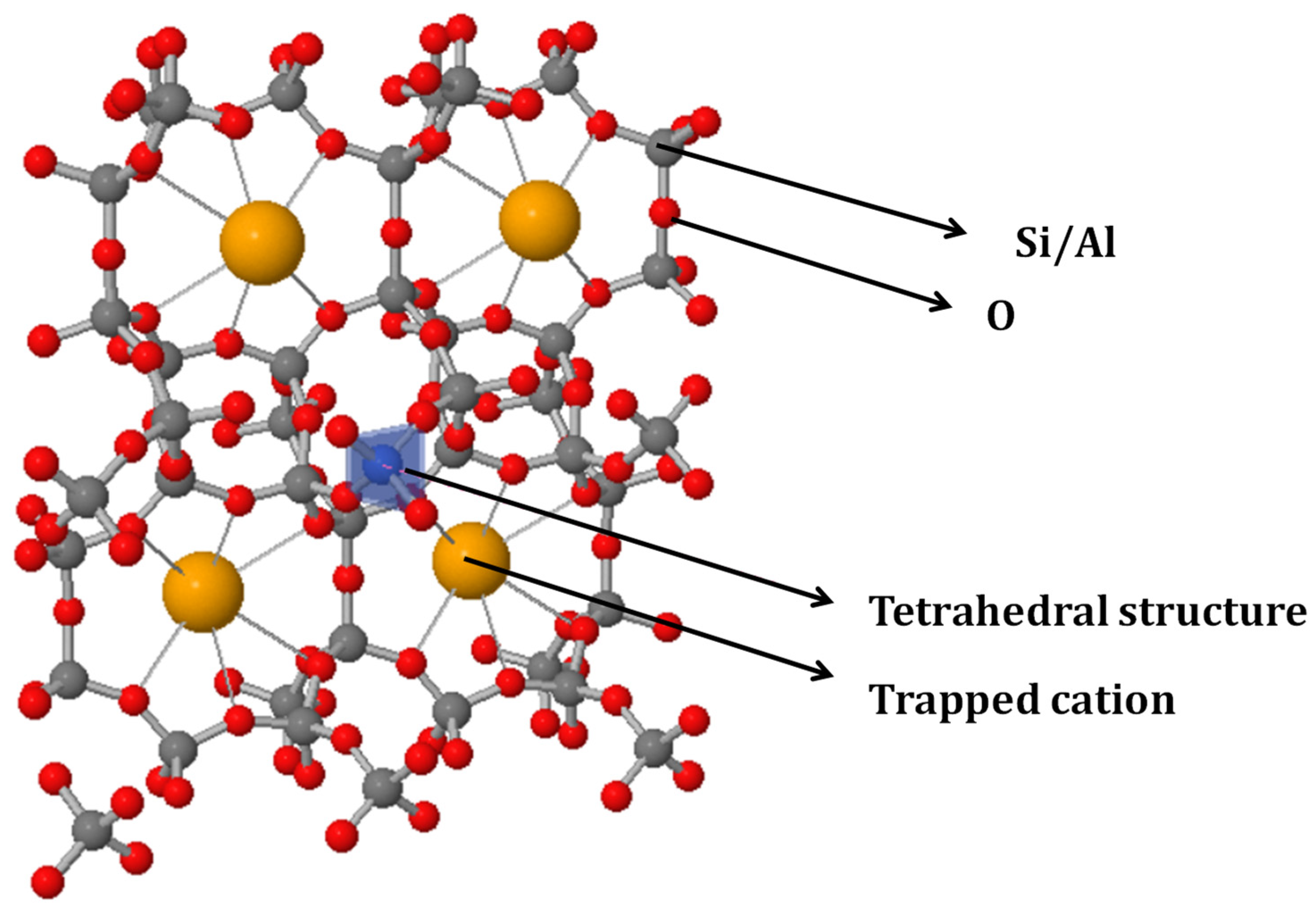 Agronomy 11 00448 g004