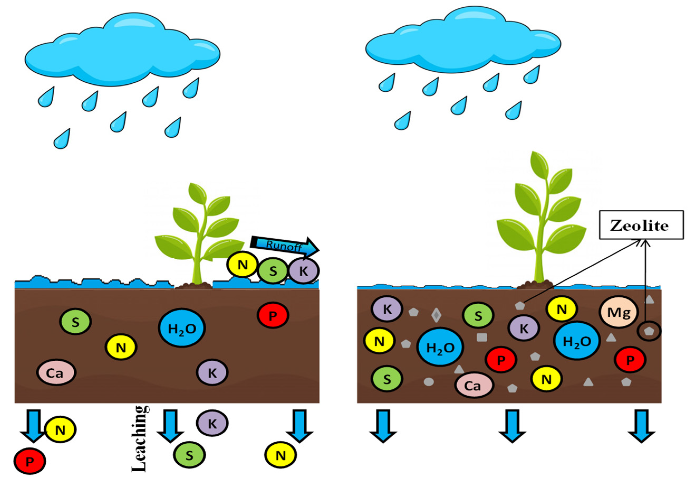 Agronomy 11 00448 g010