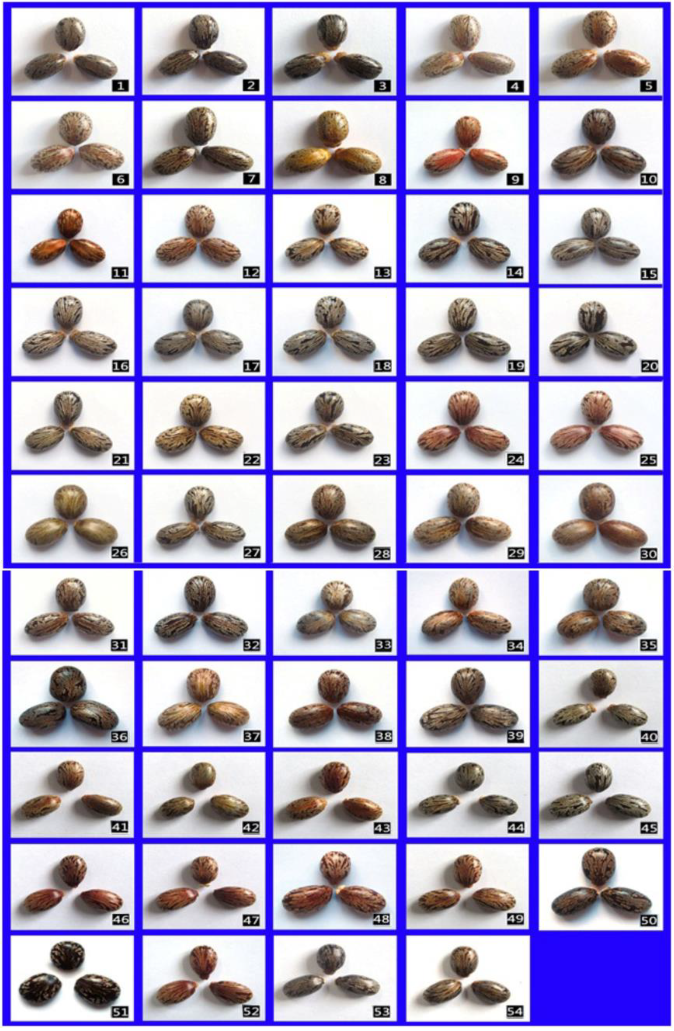 Agronomy 11 00457 g001