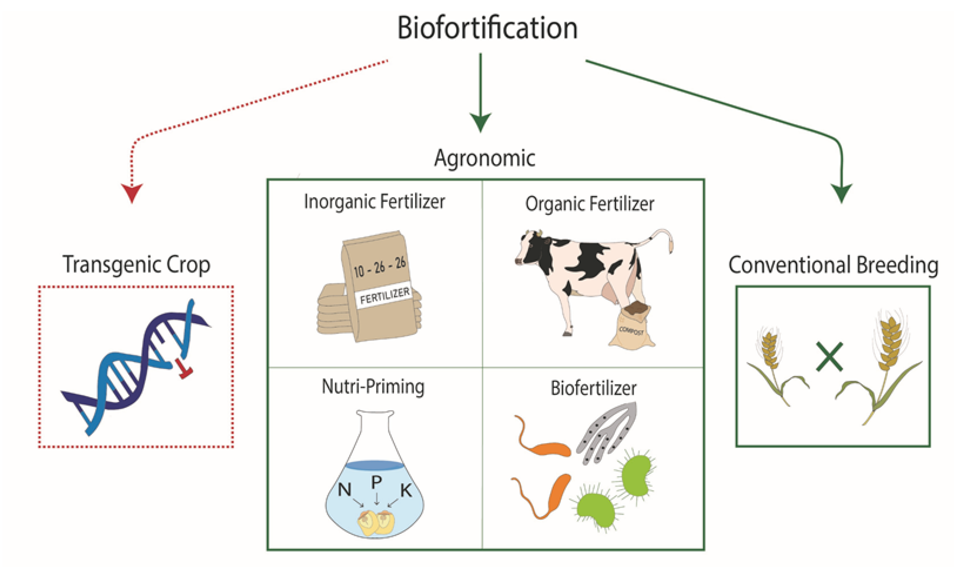 Agronomy 11 00464 g001 Agronomy 11 00464 g001