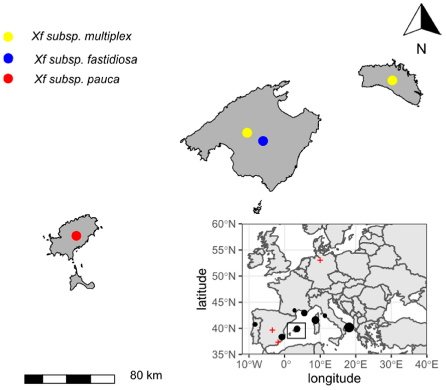 Agronomy 11 00473 g002