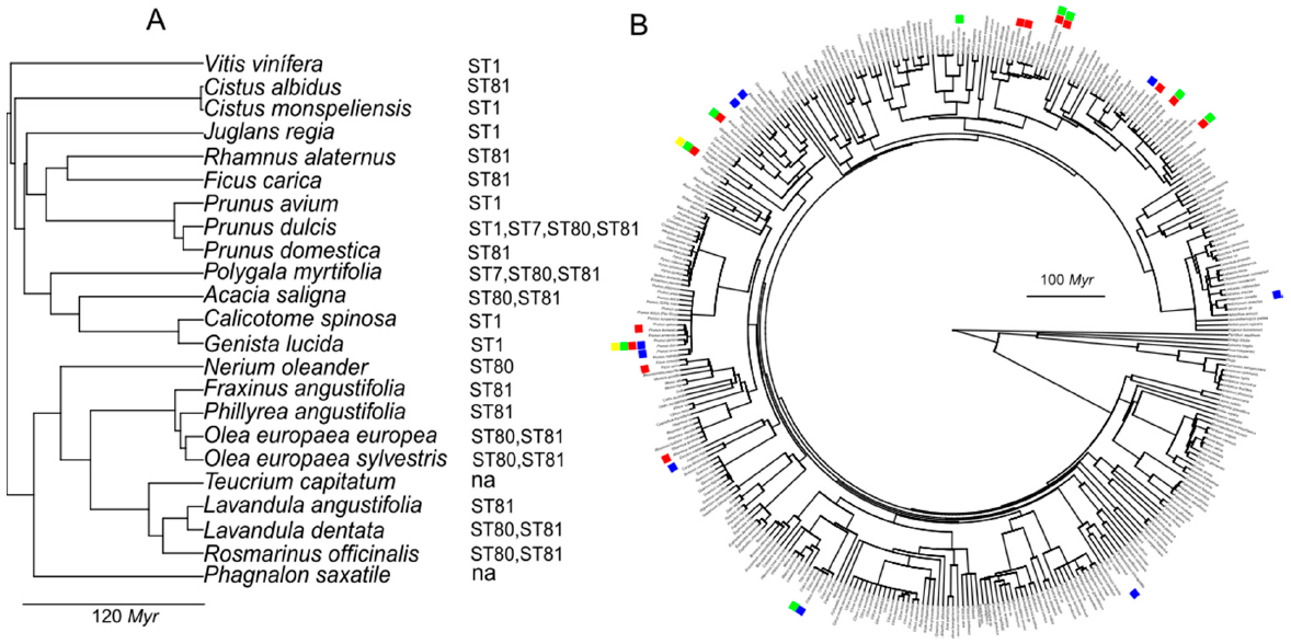 Agronomy 11 00473 g005