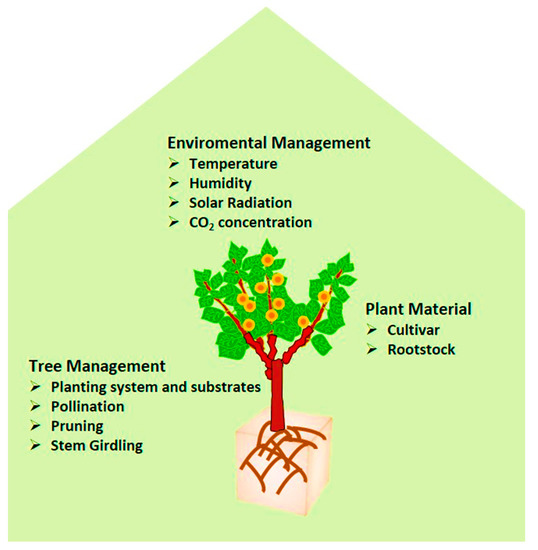 Agronomy 11 00474 g002 550