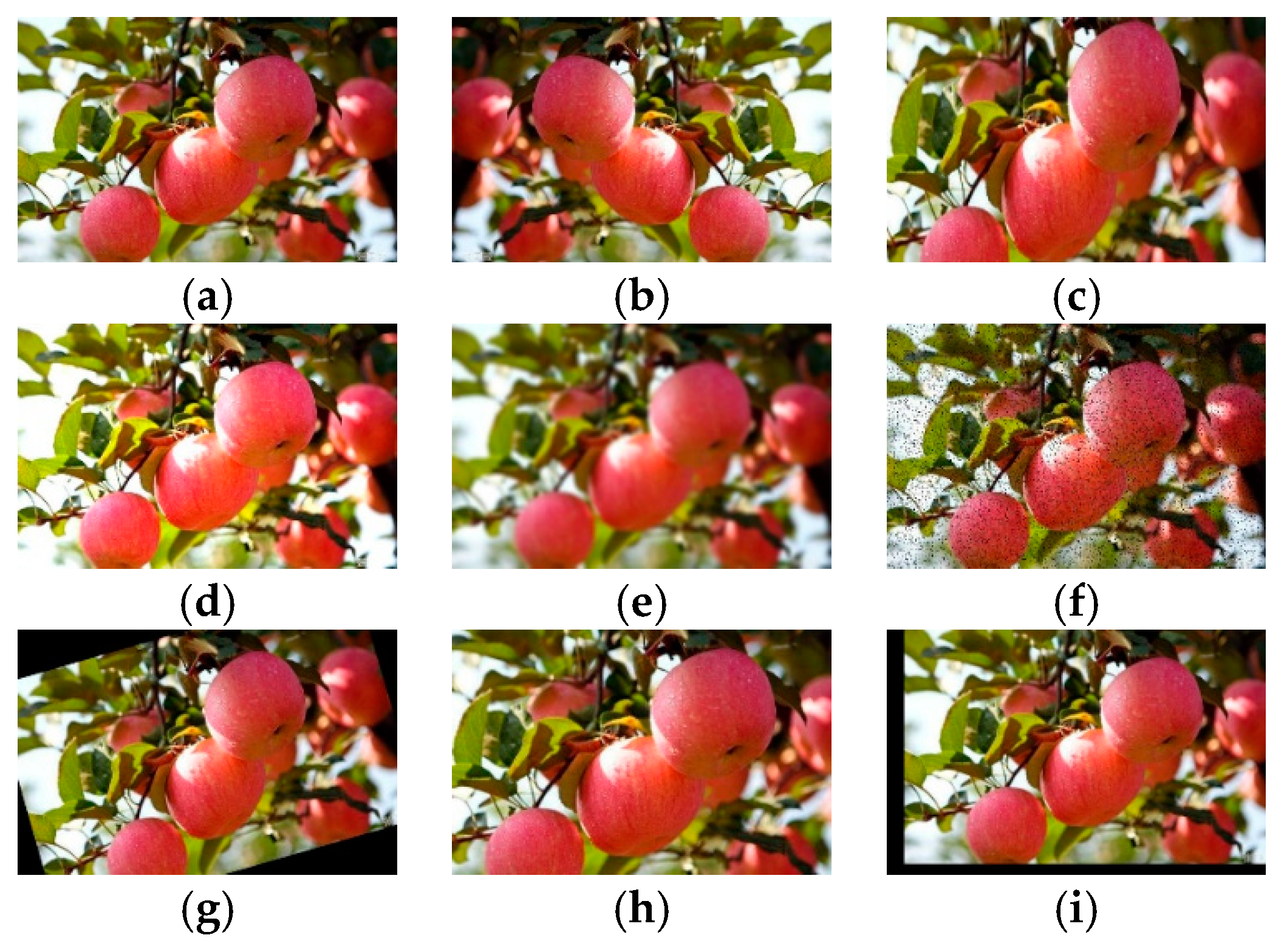 Apple Detection in Complex Scene Using the Improved YOLOv4 Model