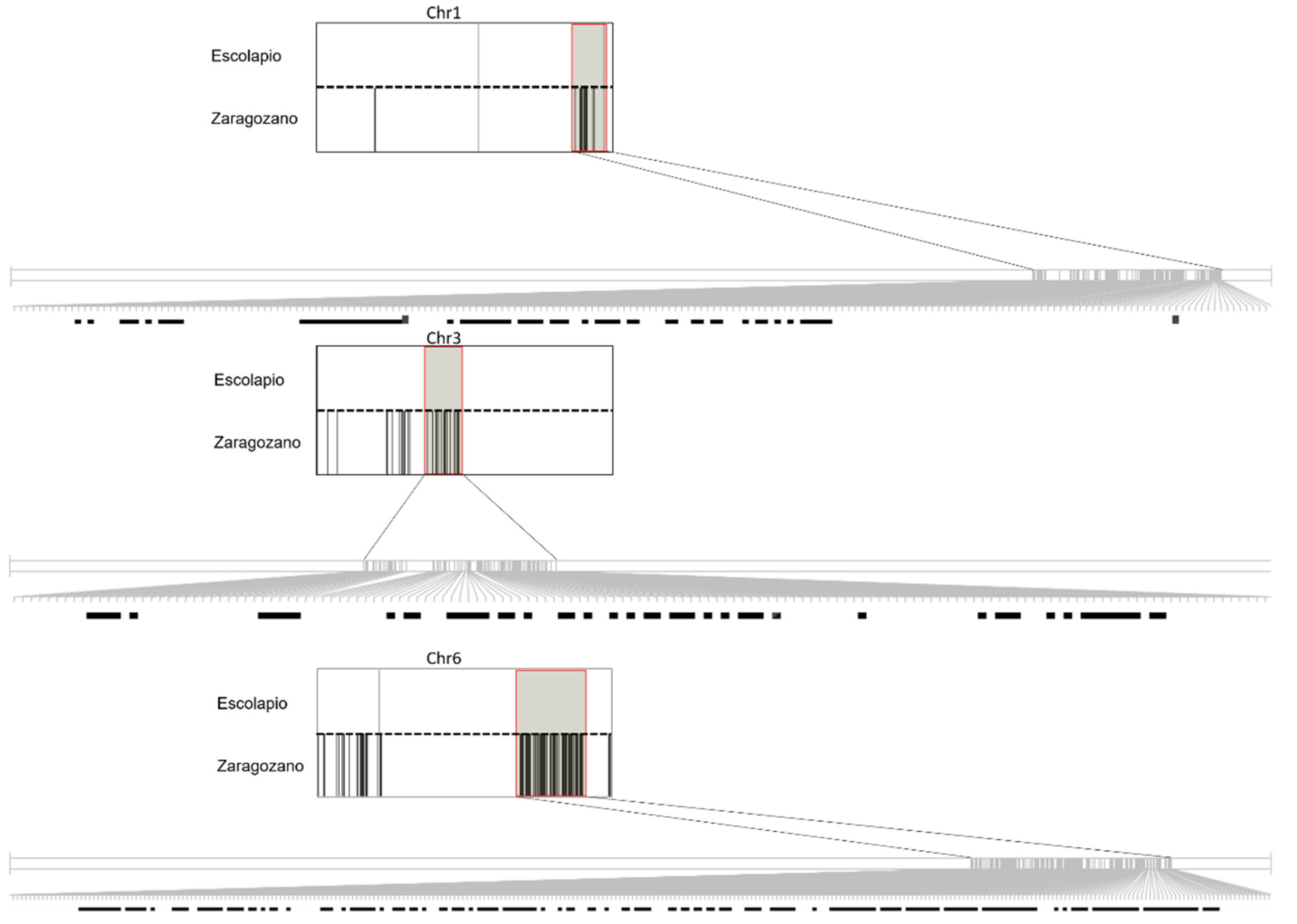 Agronomy 11 00481 g001 Agronomy 11 00481 g001