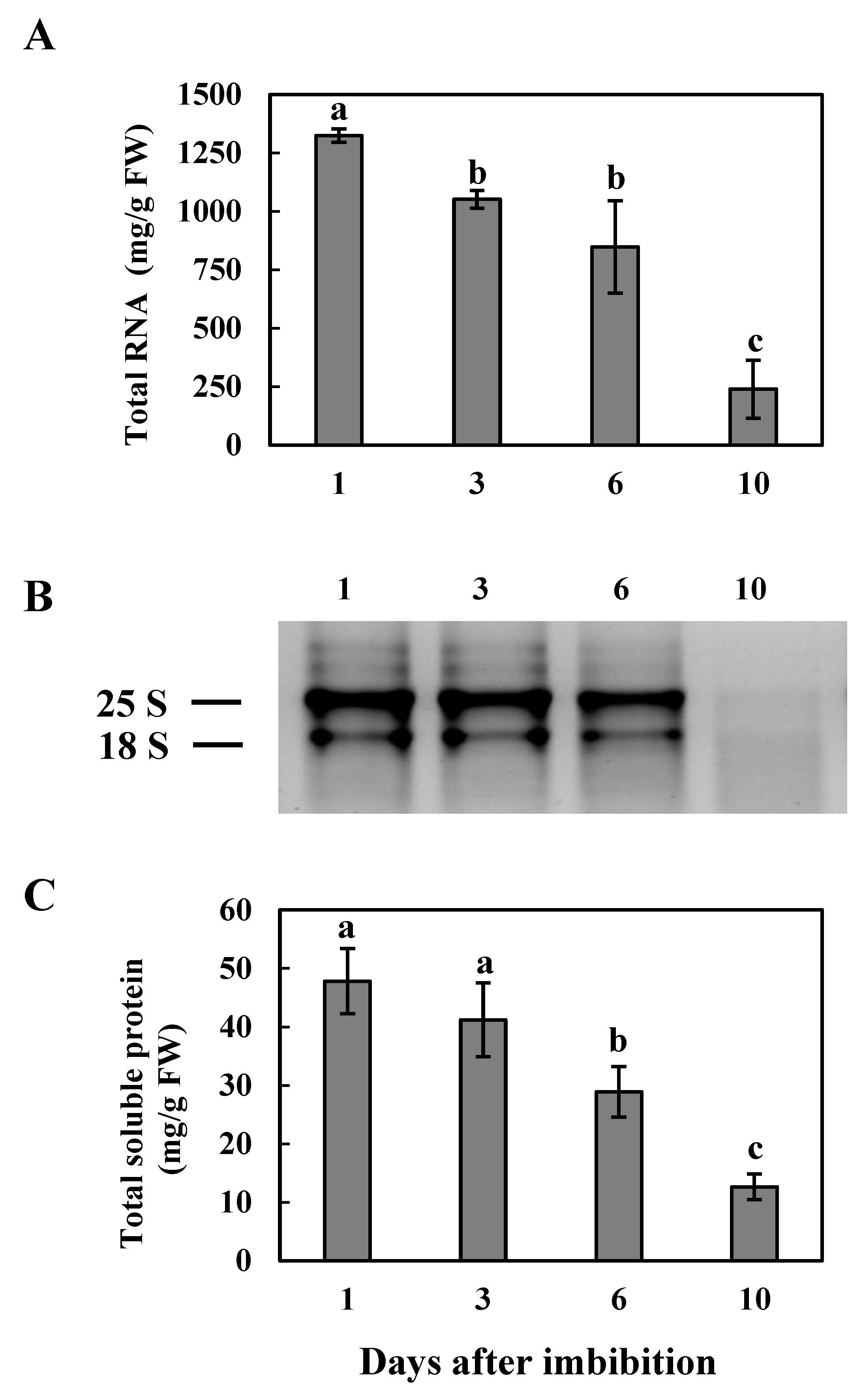 Agronomy 11 00490 g001