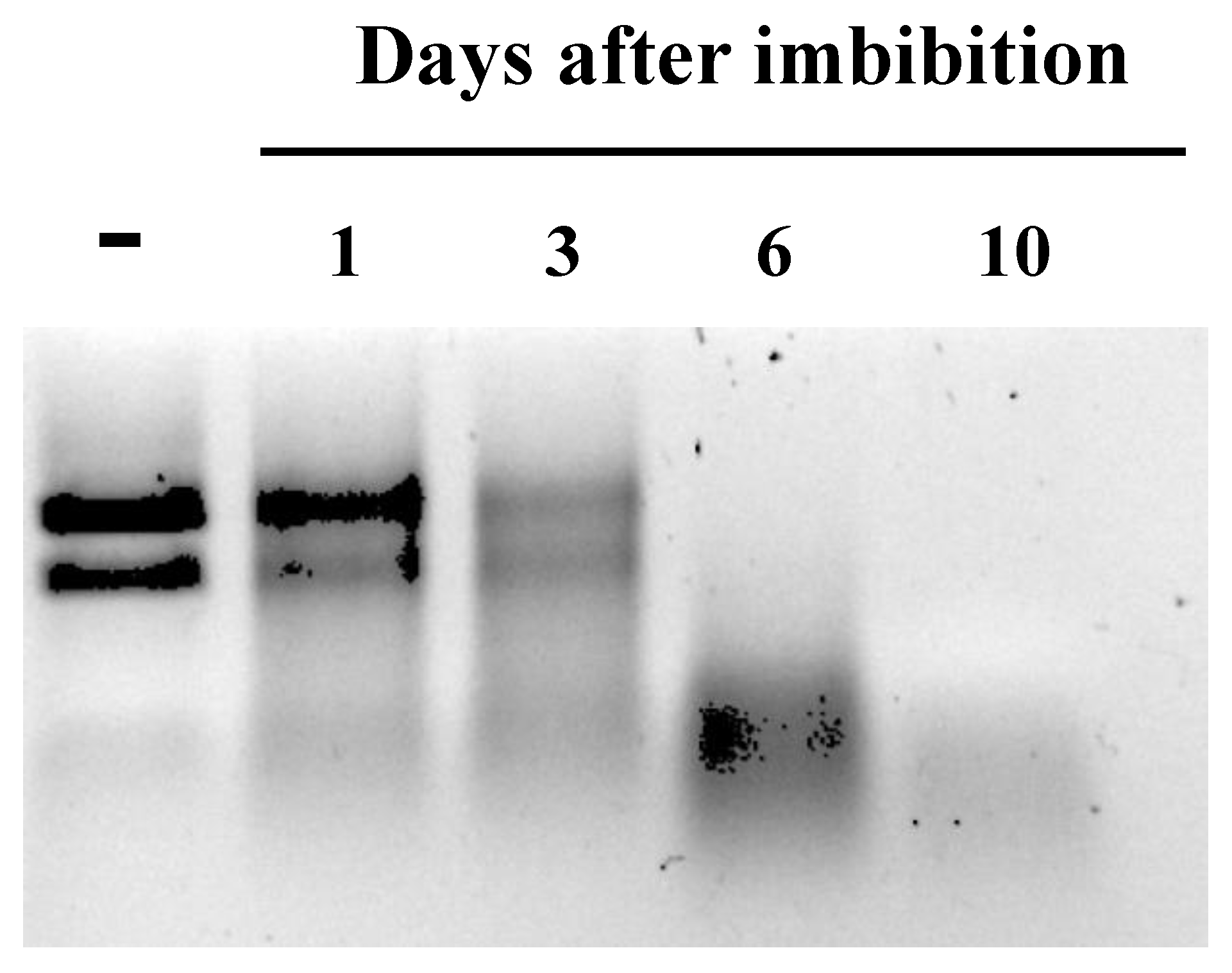 Agronomy 11 00490 g002