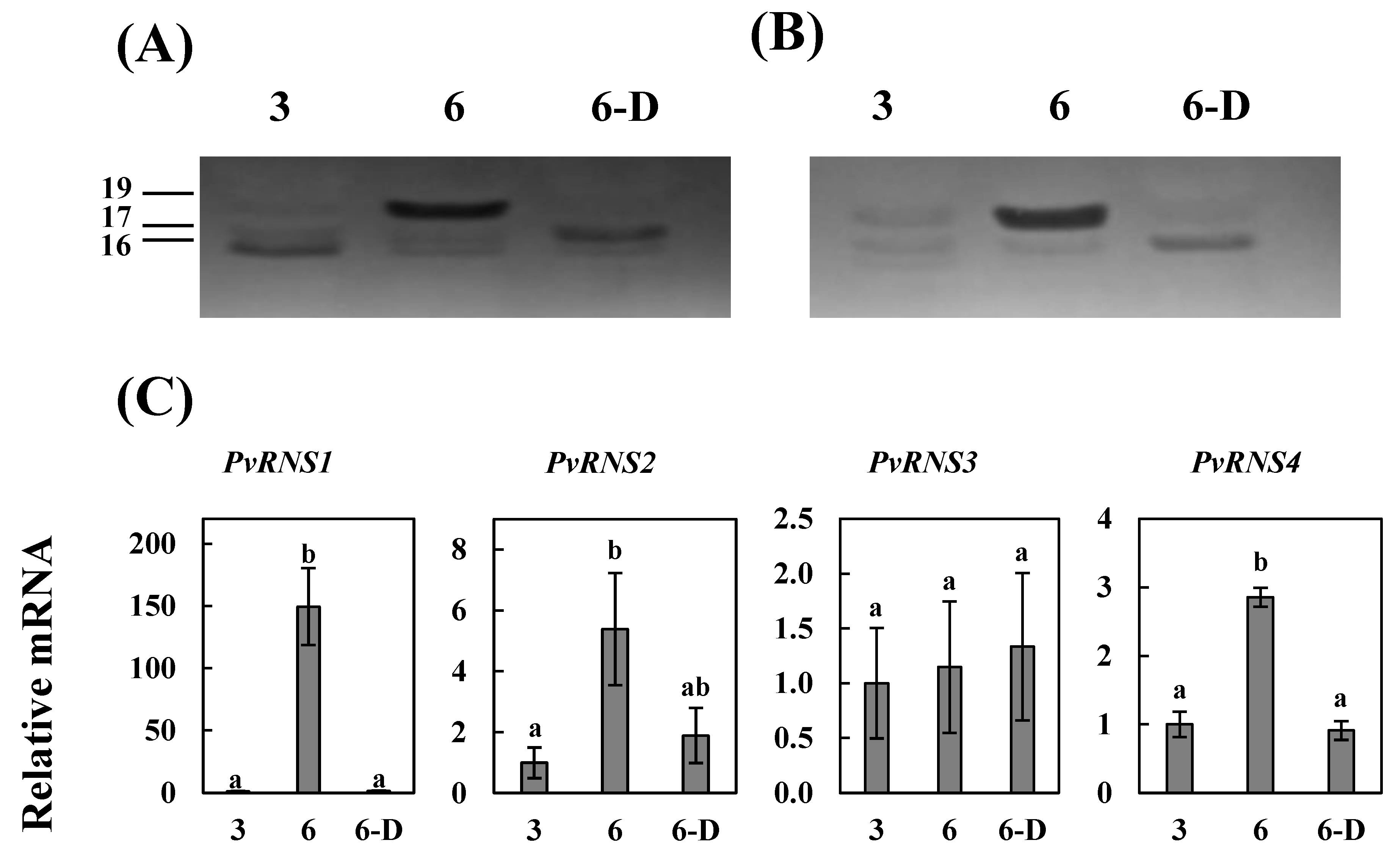 Agronomy 11 00490 g005