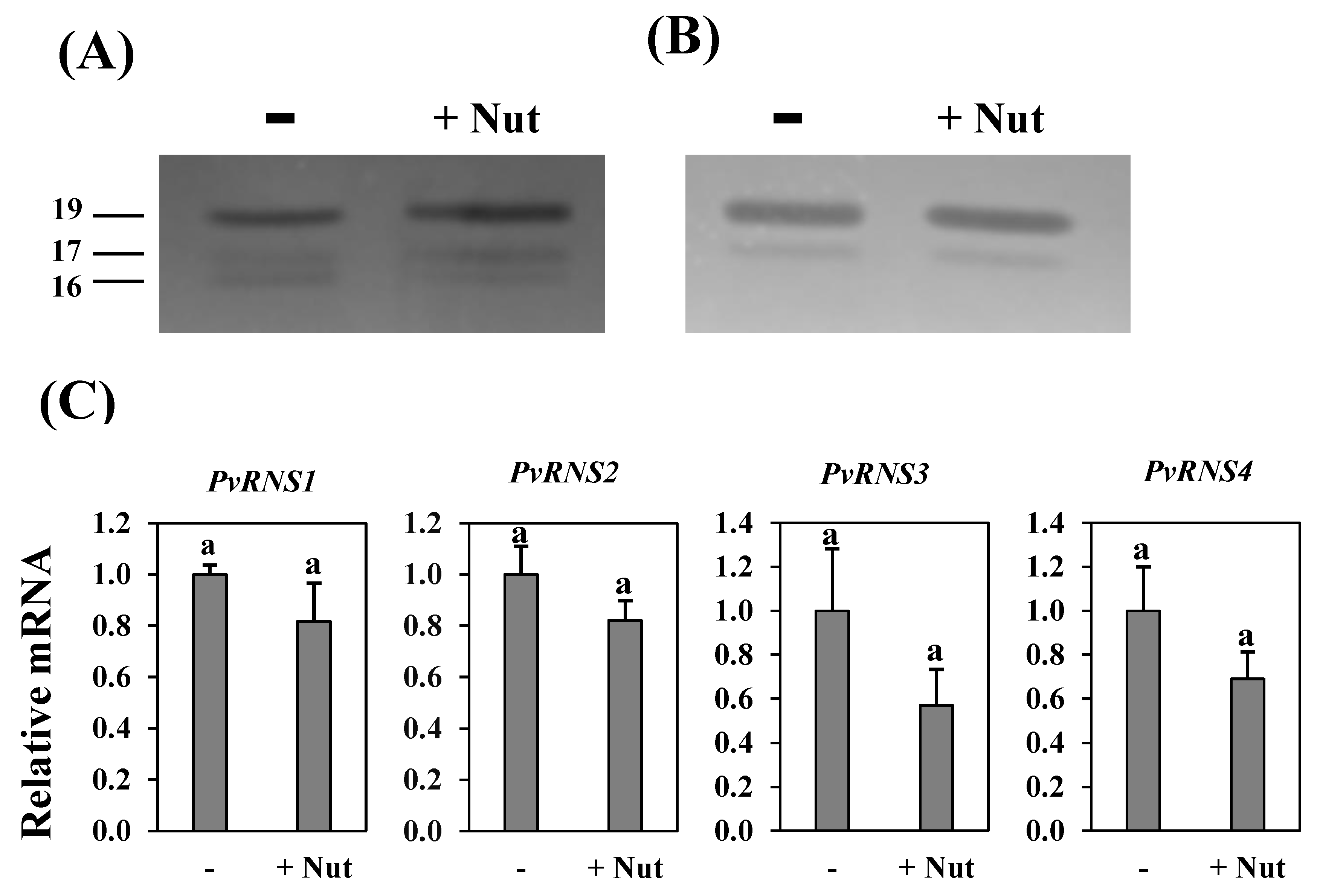 Agronomy 11 00490 g006