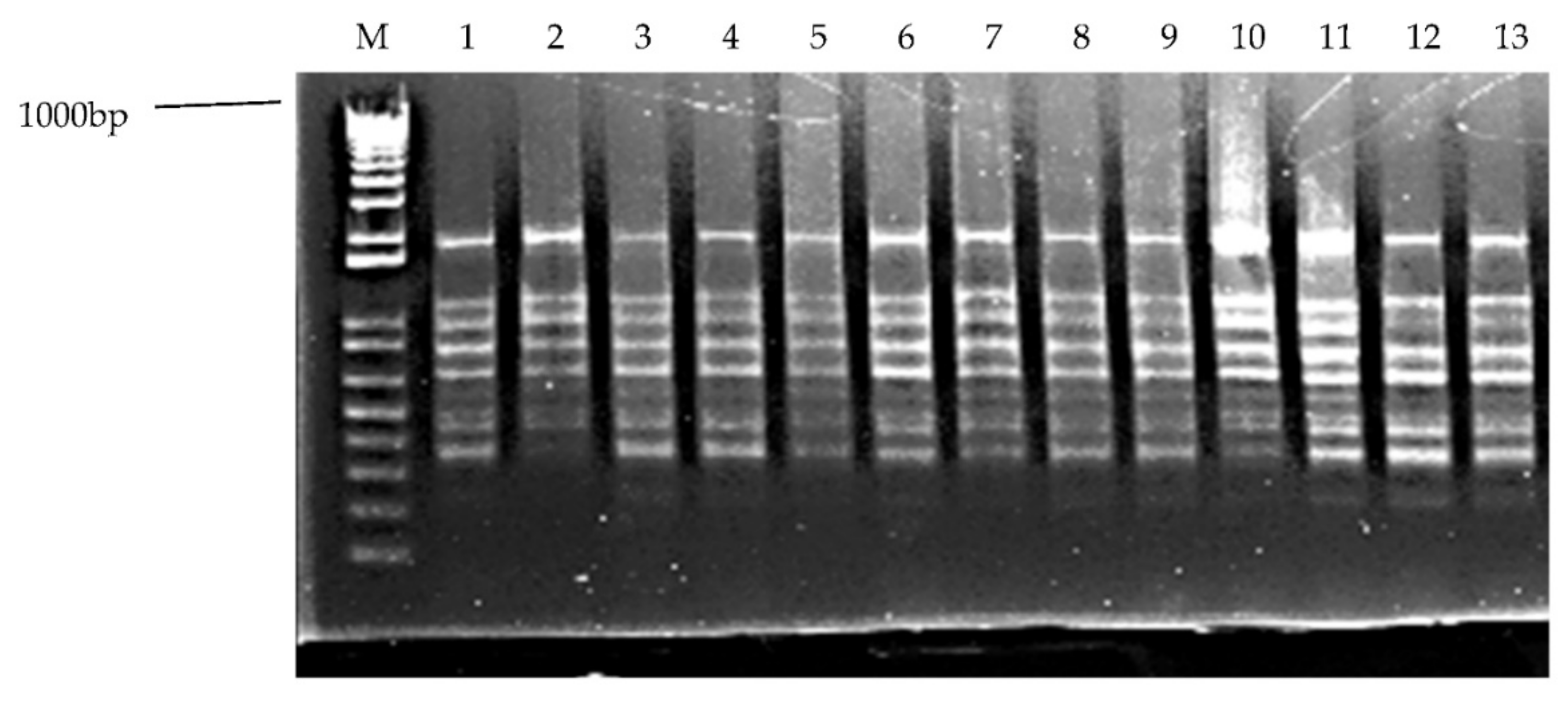 Agronomy 11 00503 g006 Agronomy 11 00503 g006