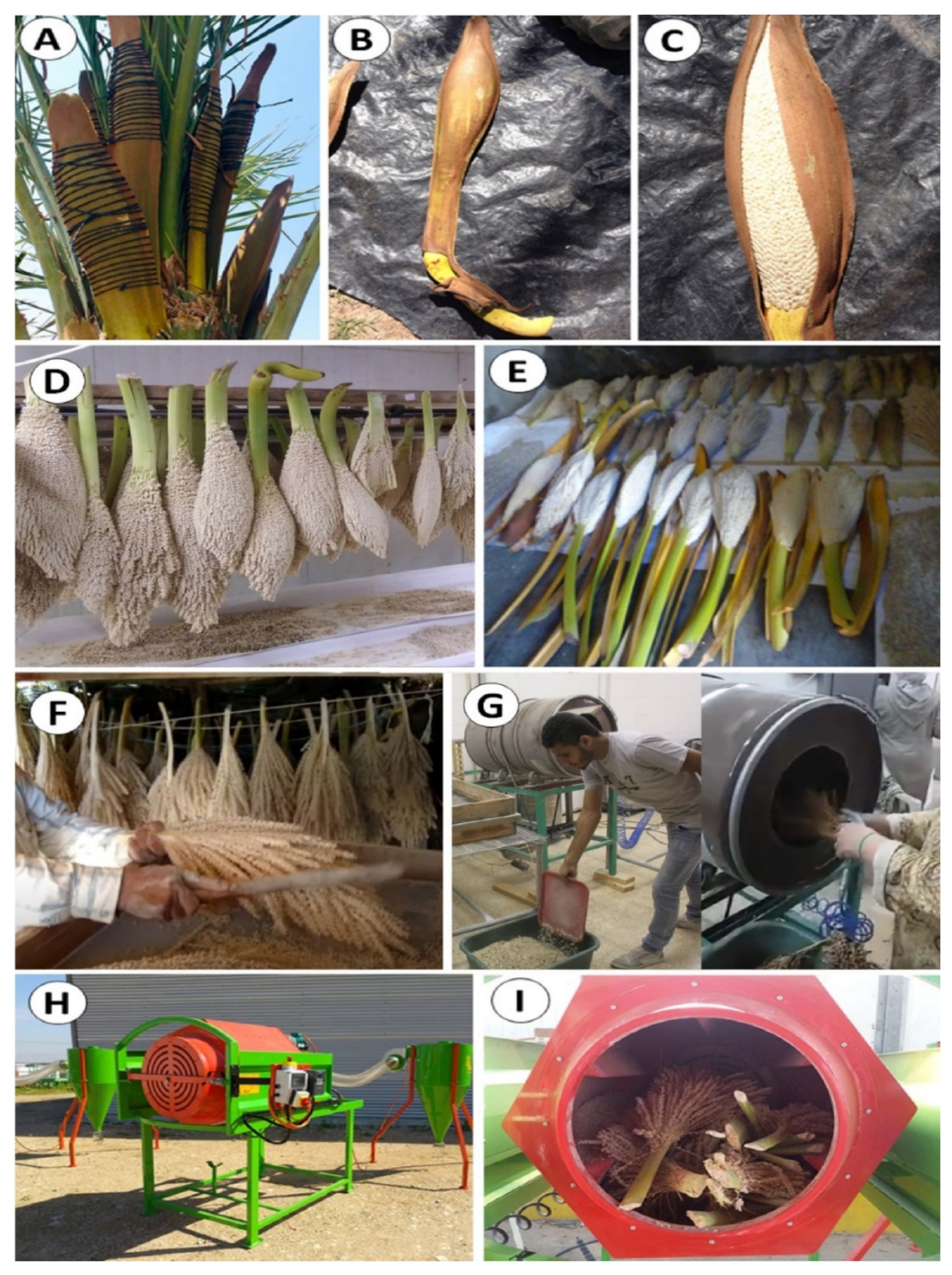 Agronomy 11 00504 g003