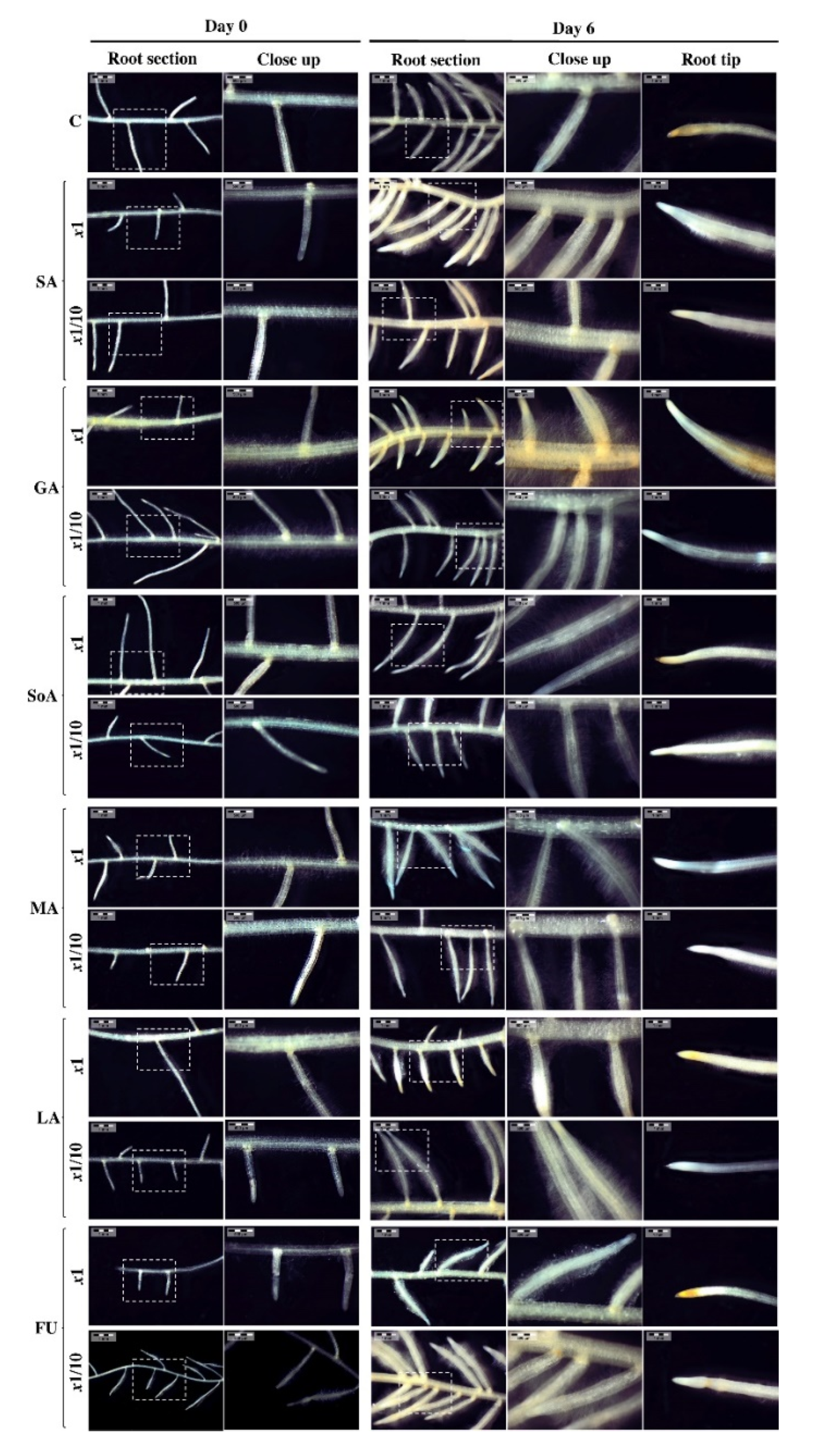 Agronomy 11 00507 g003 Agronomy 11 00507 g003