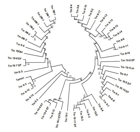 Single Nucleotide Polymorphism (SNP) Discovery and