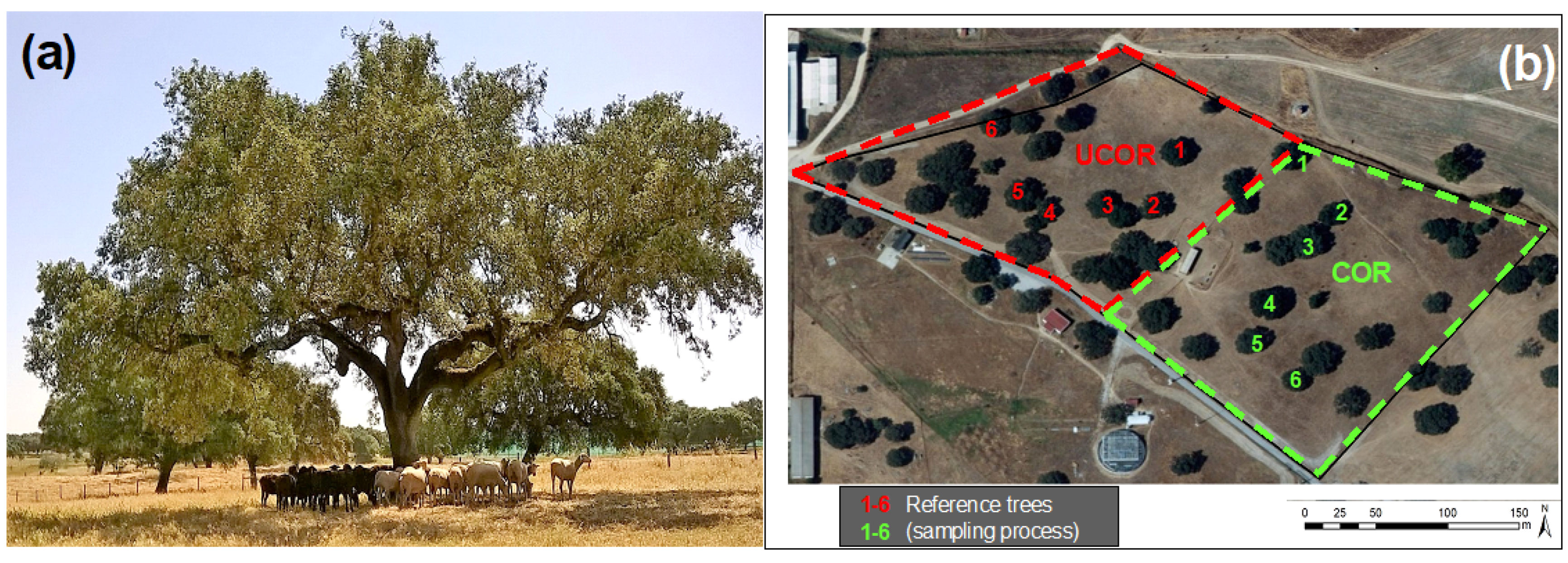 Agronomy 11 00514 g001 Agronomy 11 00514 g001