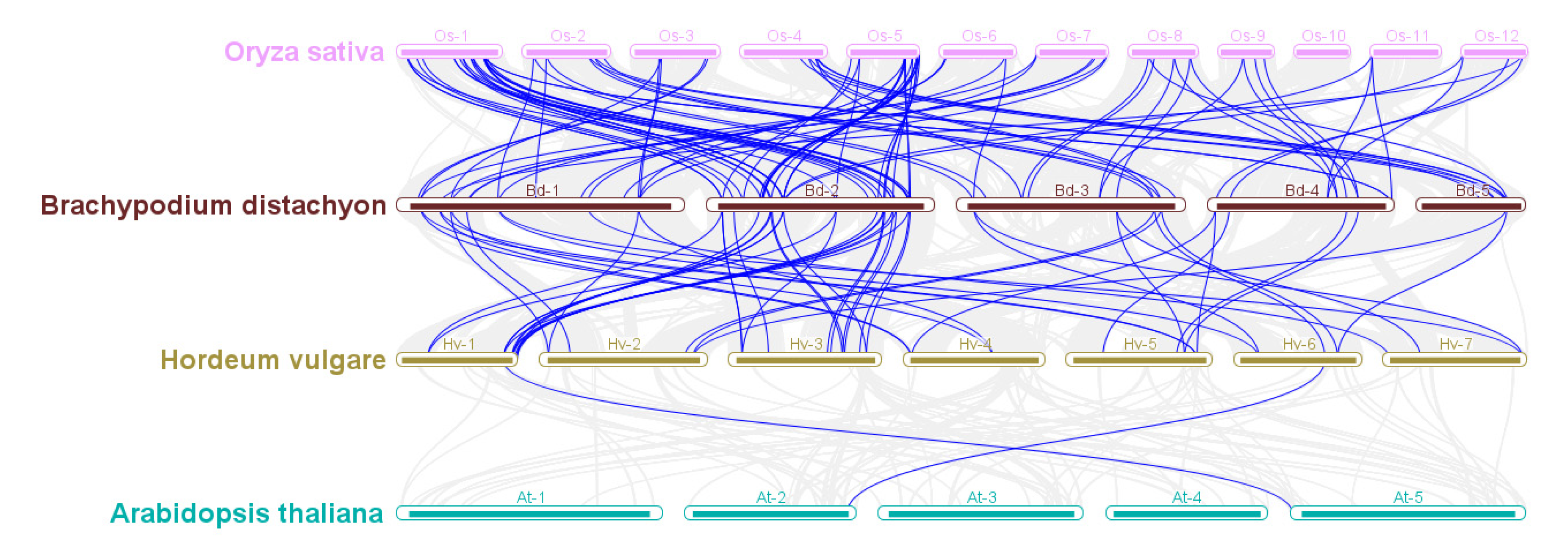 Agronomy 11 00521 g002 Agronomy 11 00521 g002