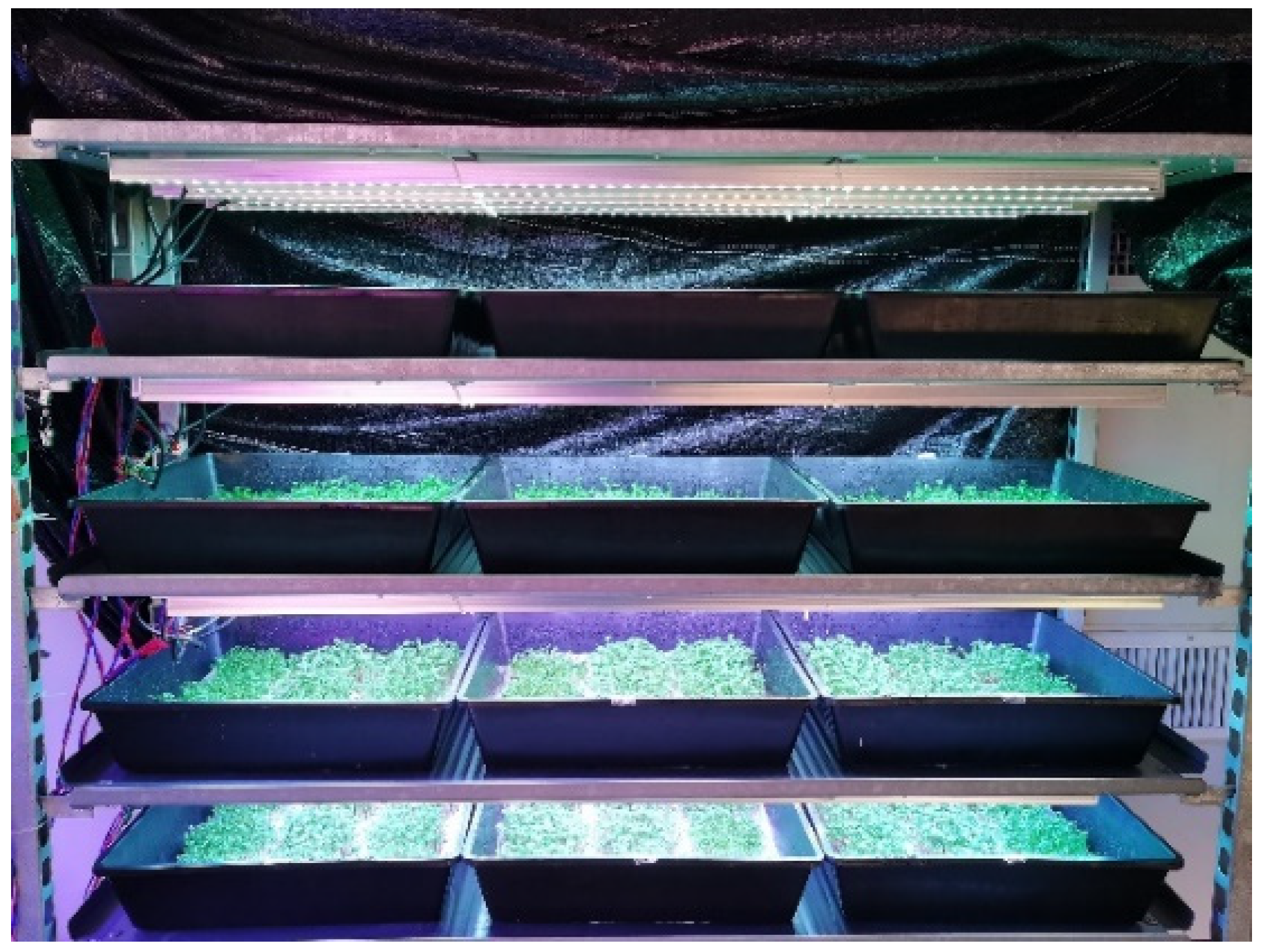 Agronomy 11 00537 g001