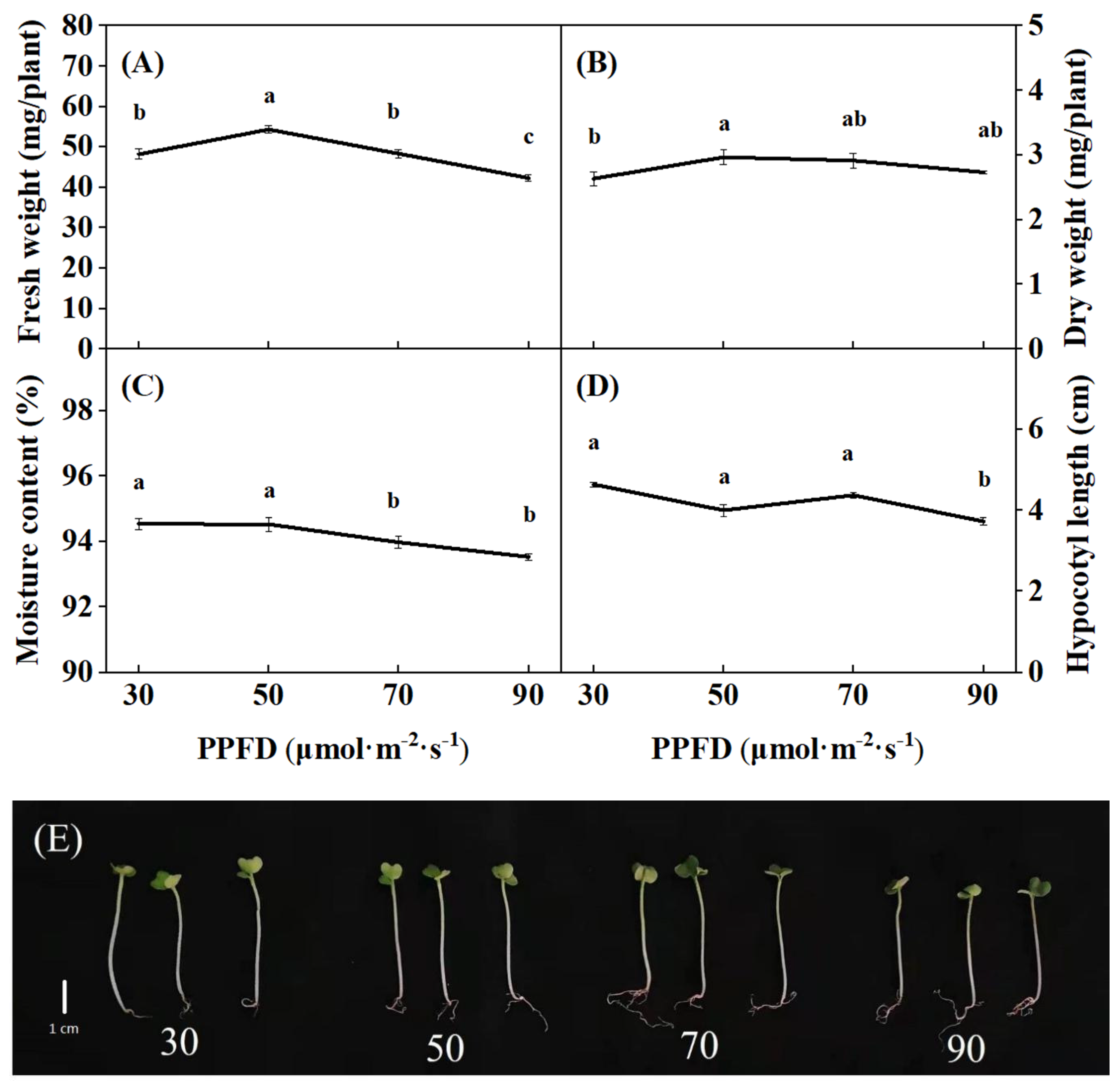 Agronomy 11 00537 g003