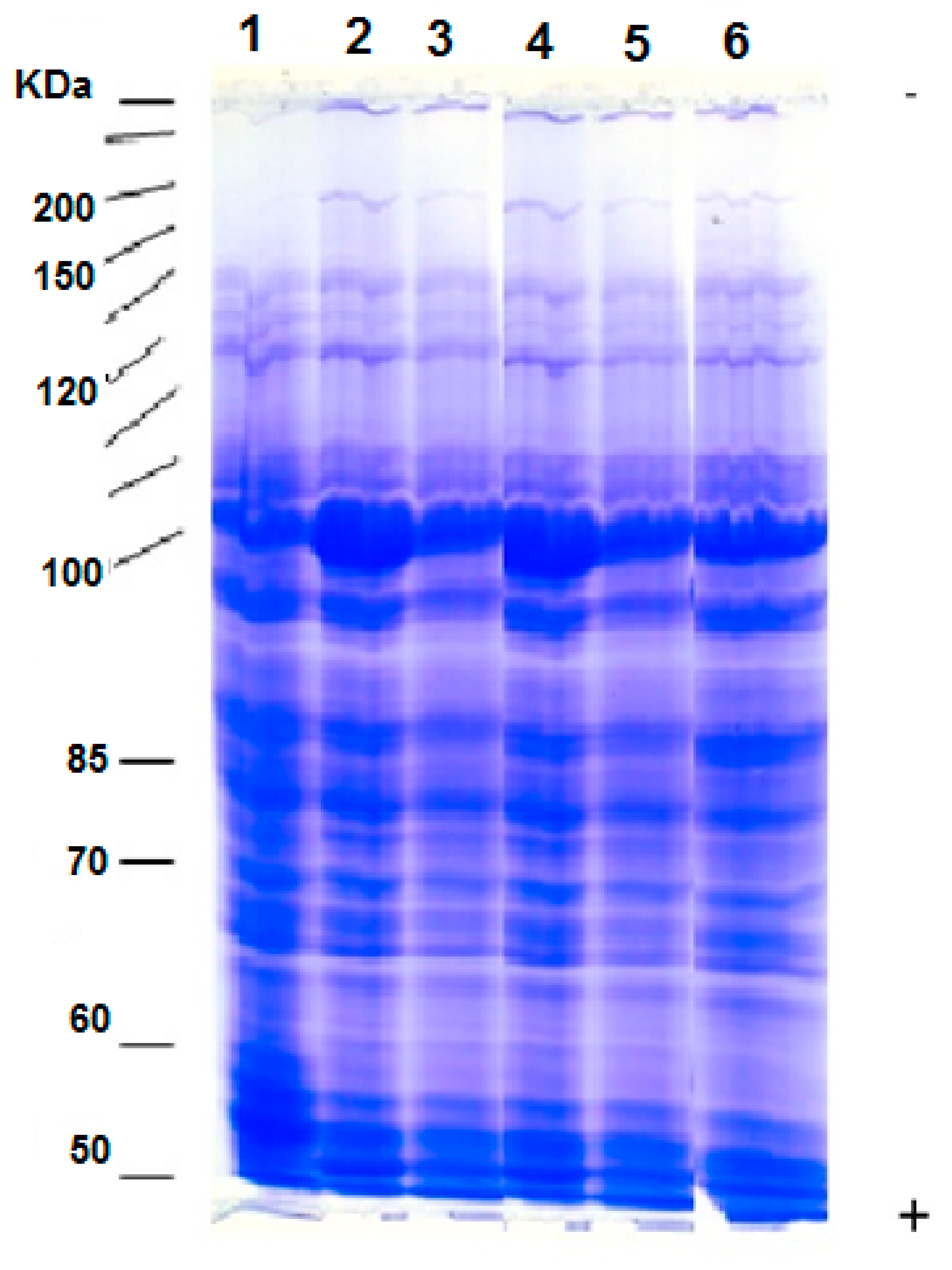 Agronomy 11 00545 g005 Agronomy 11 00545 g005