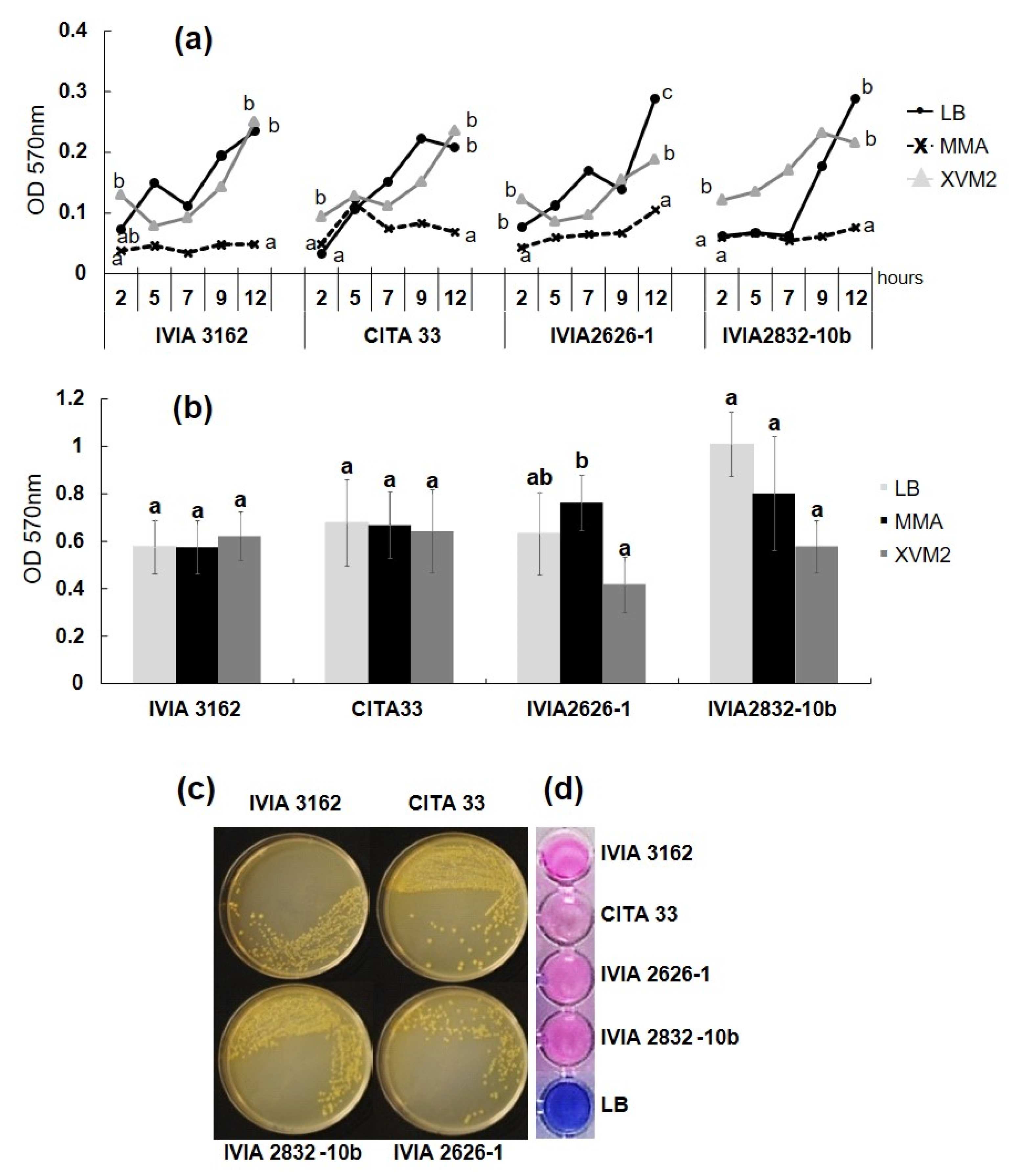 Agronomy 11 00546 g002 Agronomy 11 00546 g002