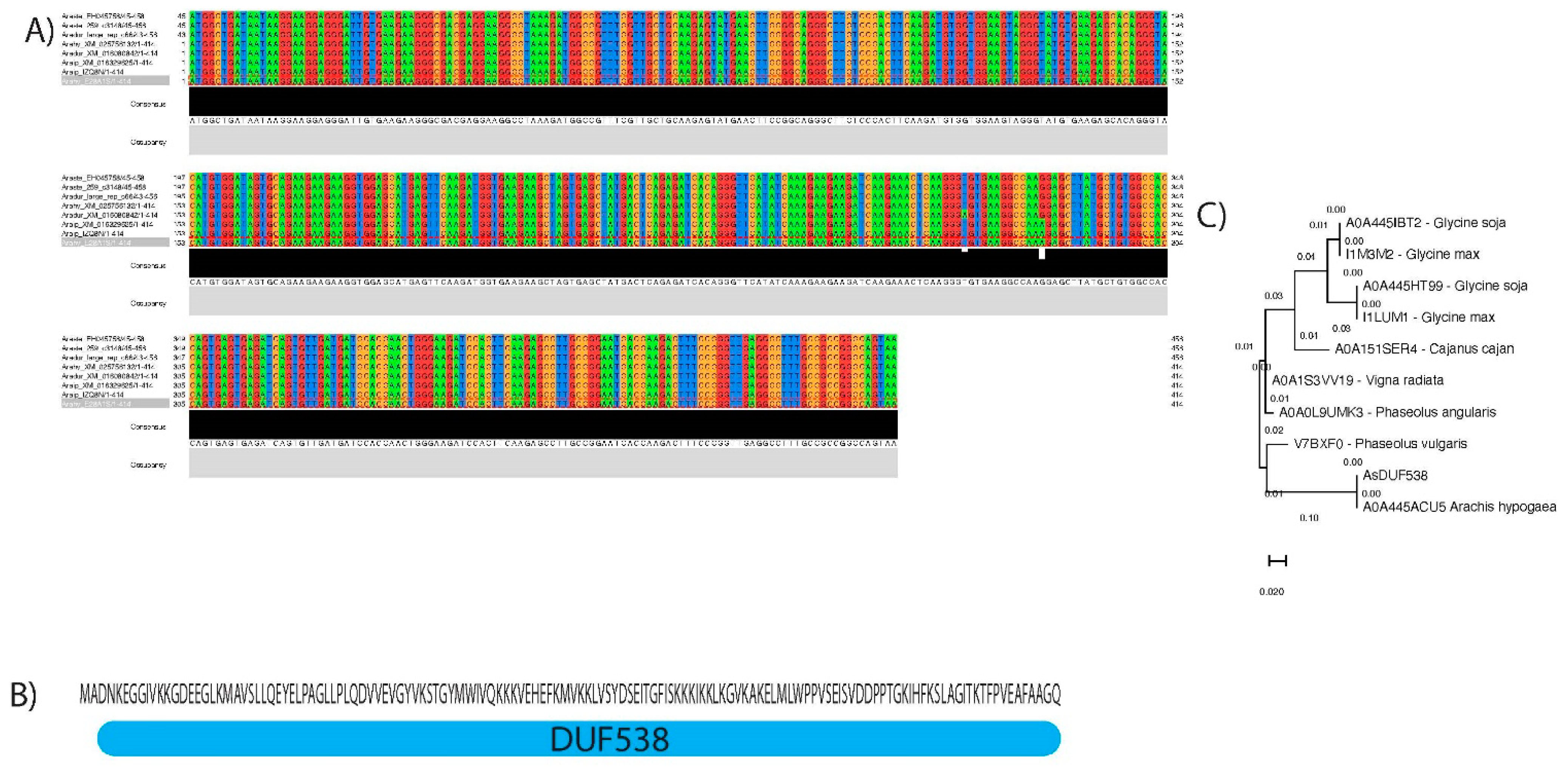 Agronomy 11 00559 g001