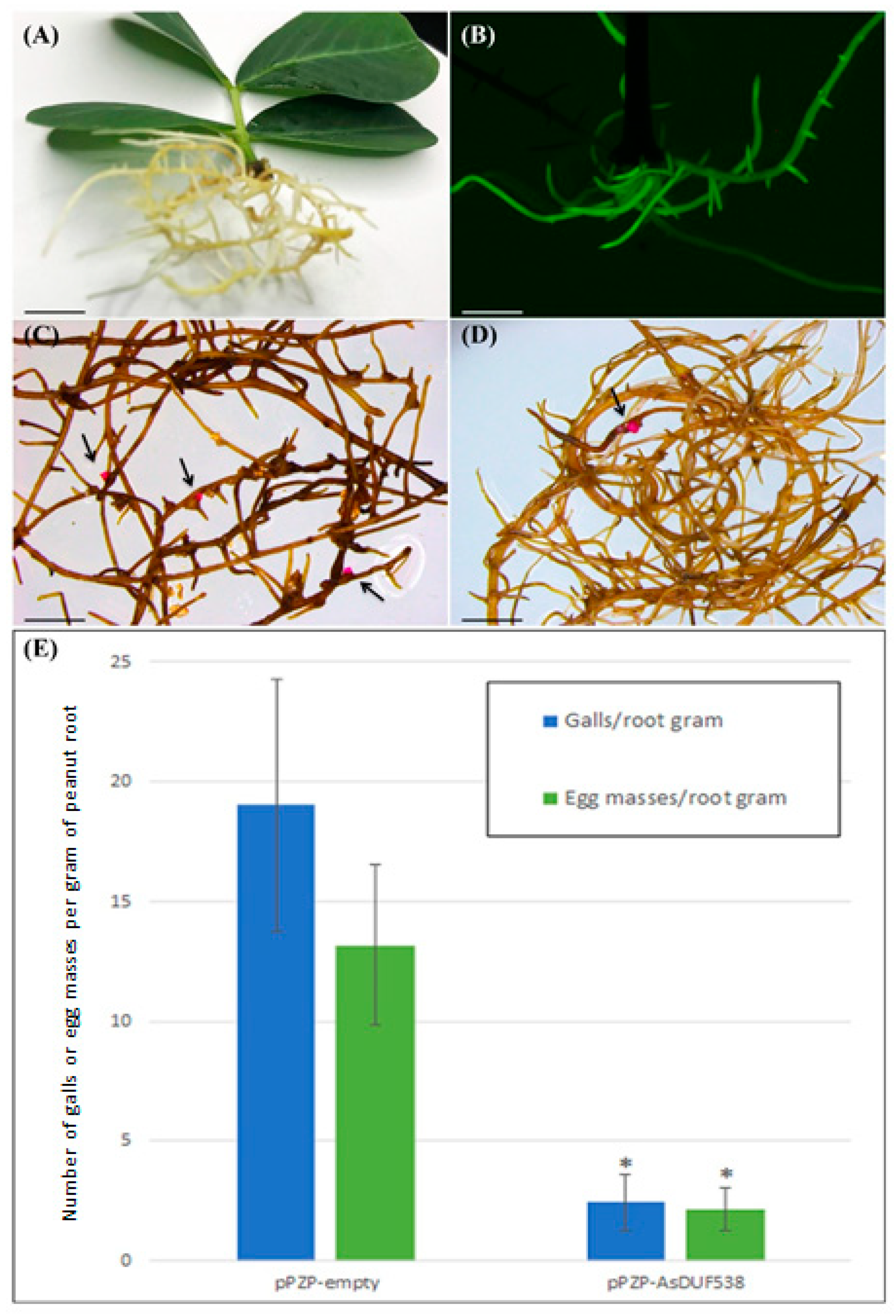 Agronomy 11 00559 g003
