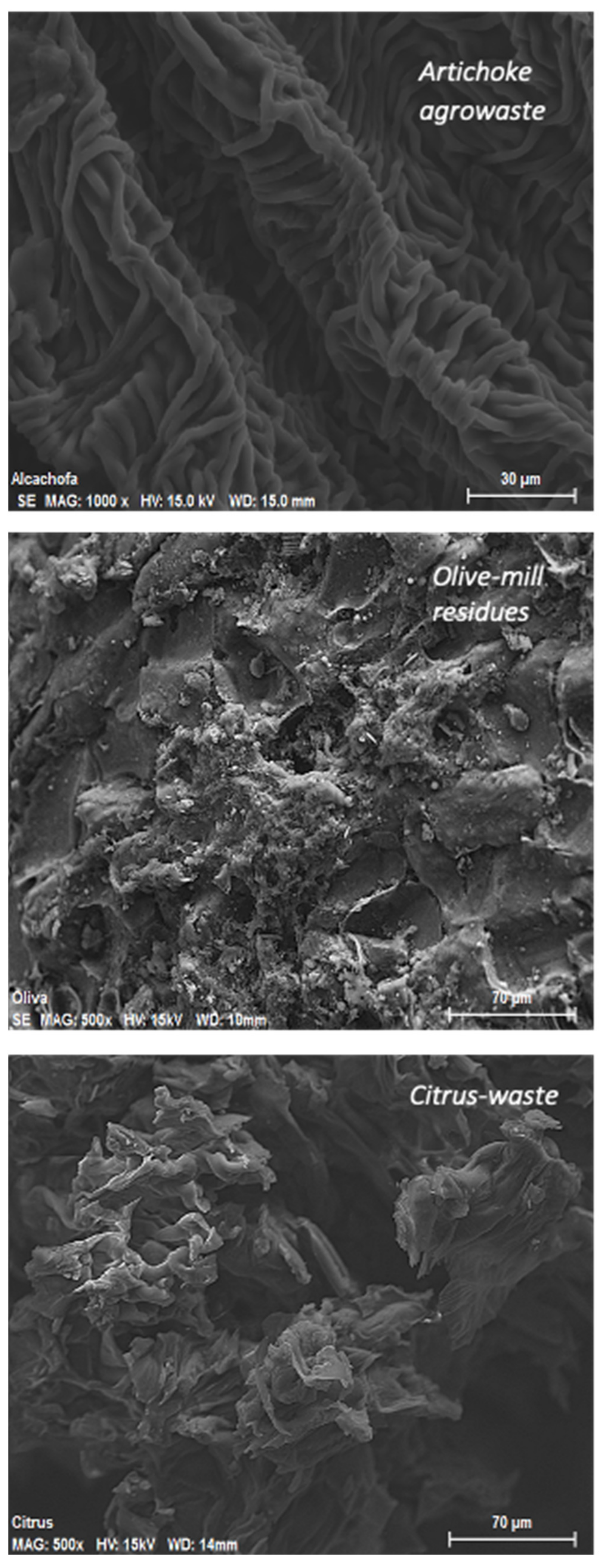 Agronomy 11 00561 g001 Agronomy 11 00561 g001