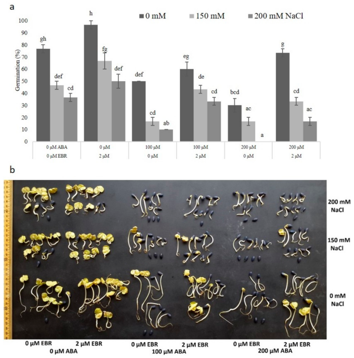 Agronomy 11 00566 g003 Agronomy 11 00566 g003