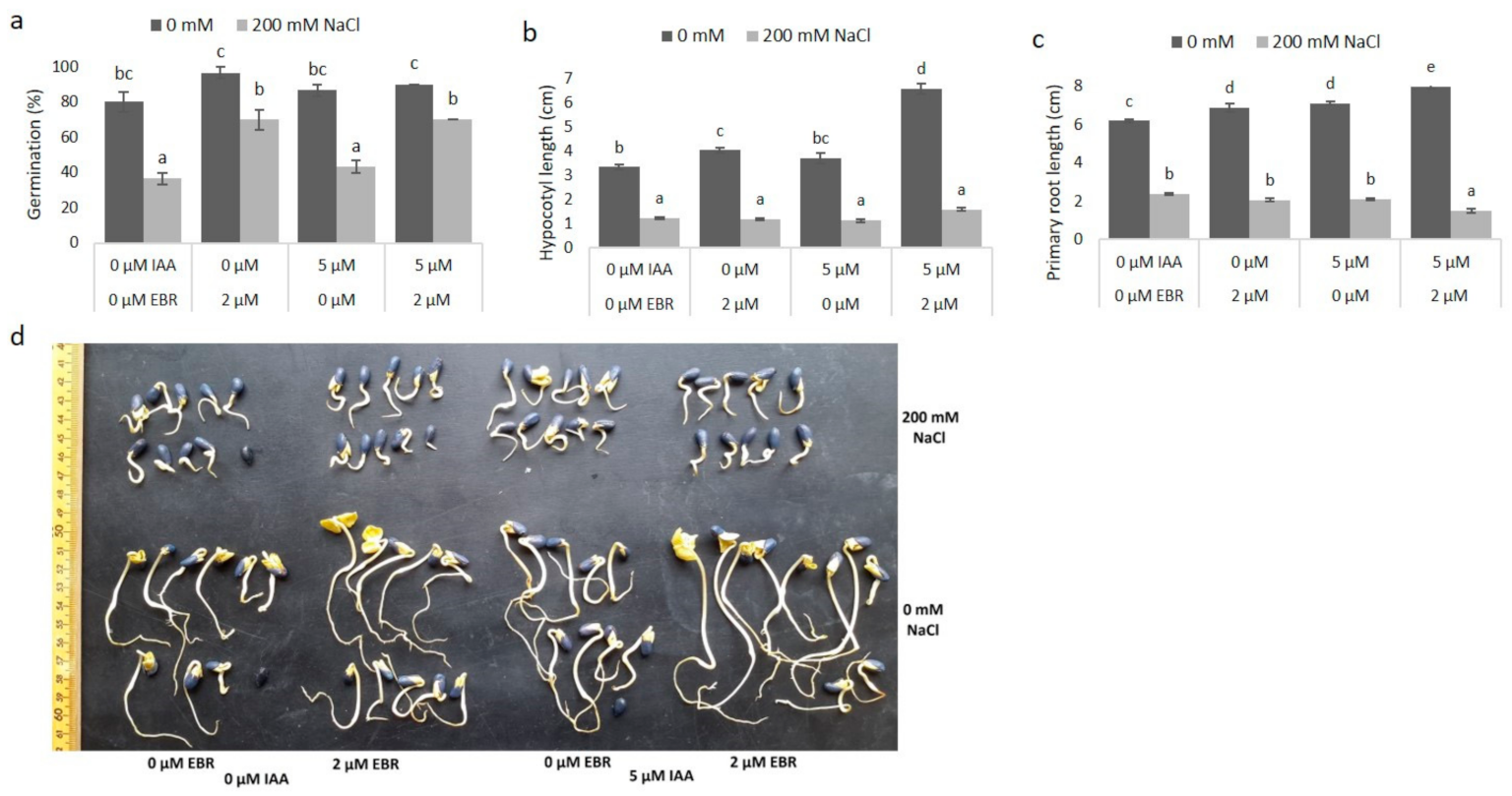 Agronomy 11 00566 g005 Agronomy 11 00566 g005
