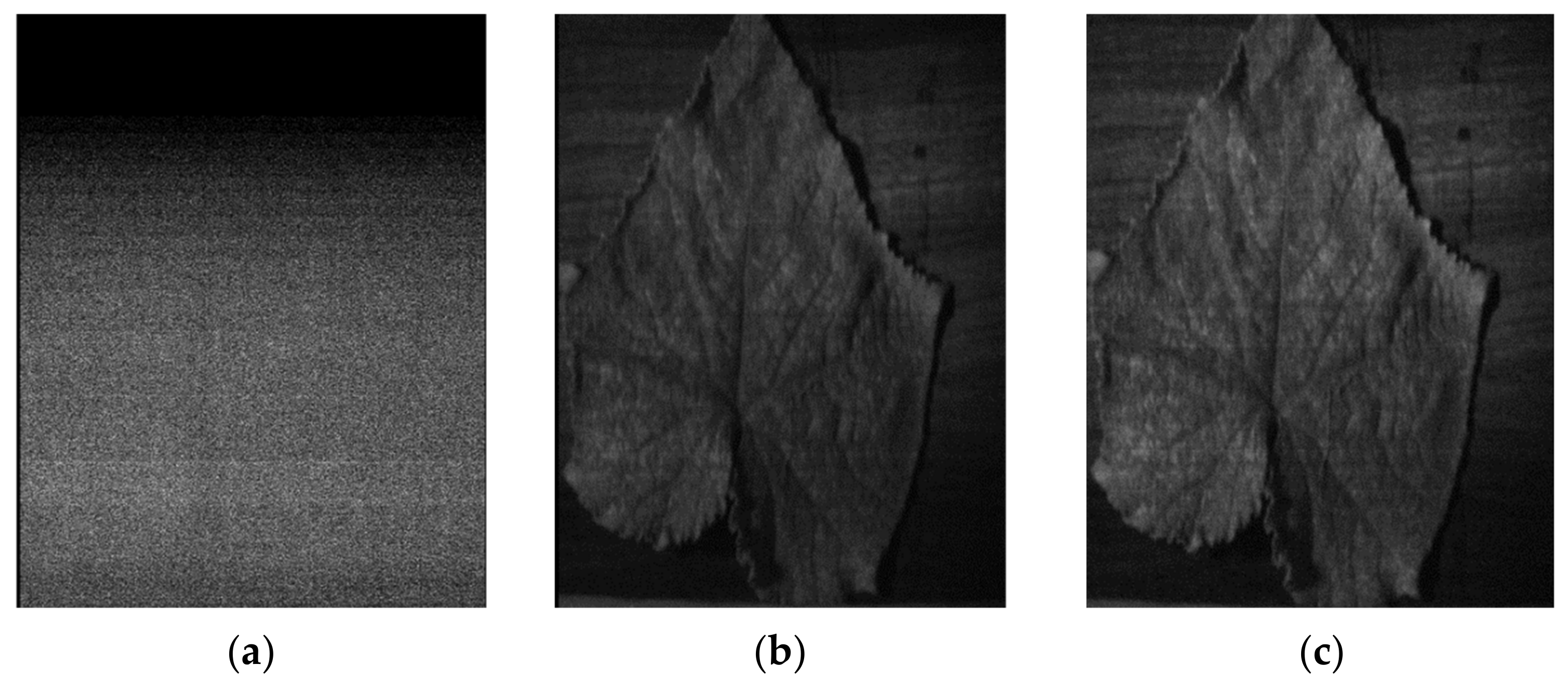 Agronomy 11 00575 g004a Agronomy 11 00575 g004a