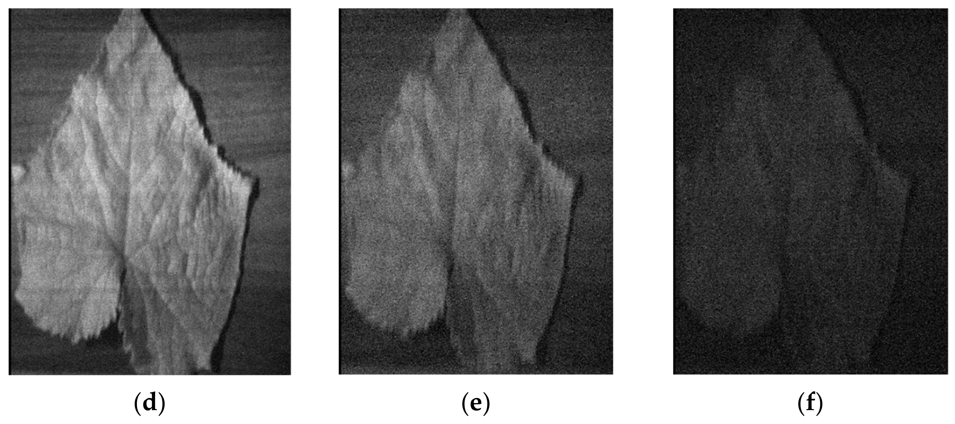Agronomy 11 00575 g004b Agronomy 11 00575 g004b