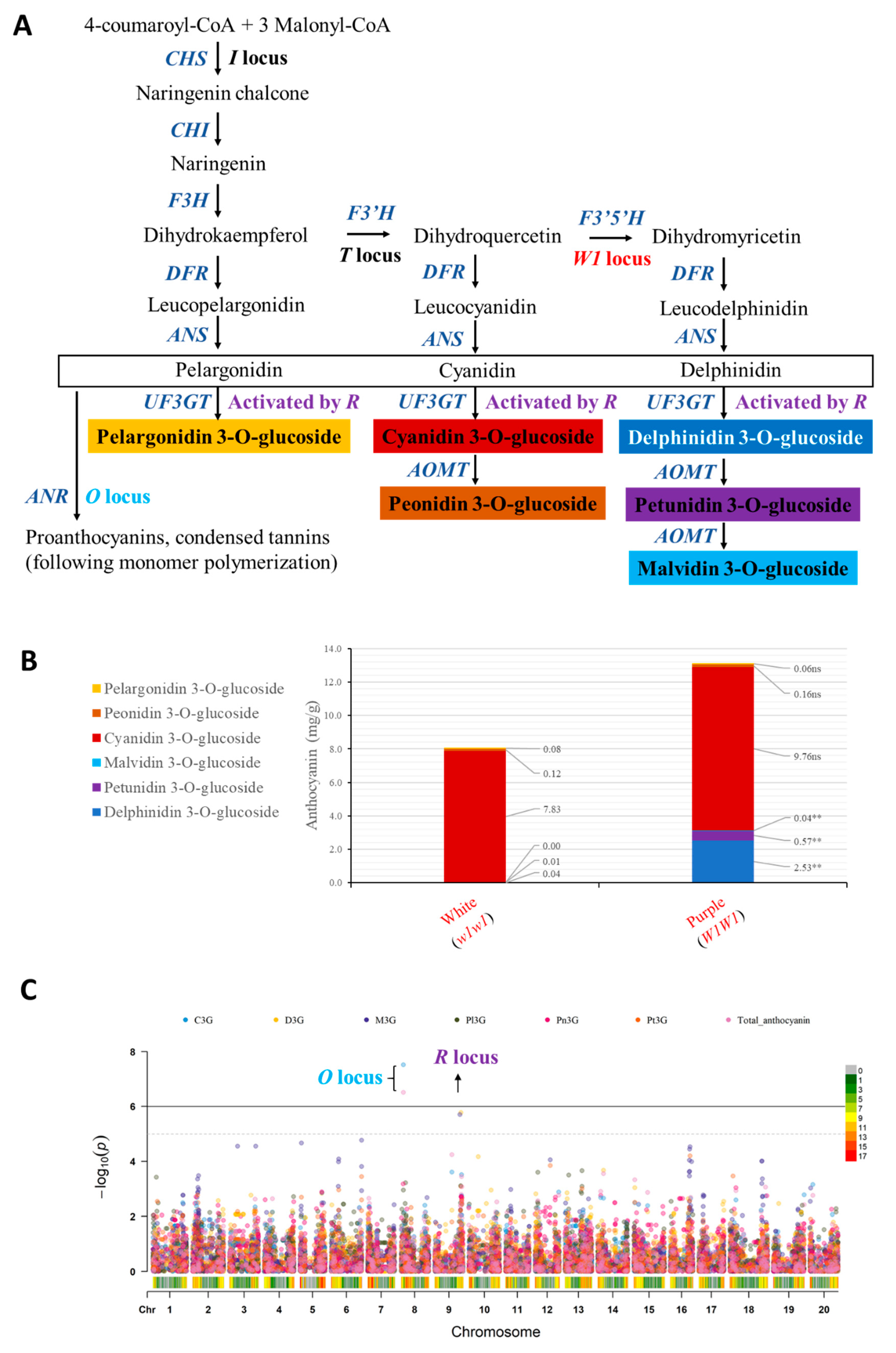 Agronomy 11 00581 g006 Agronomy 11 00581 g006