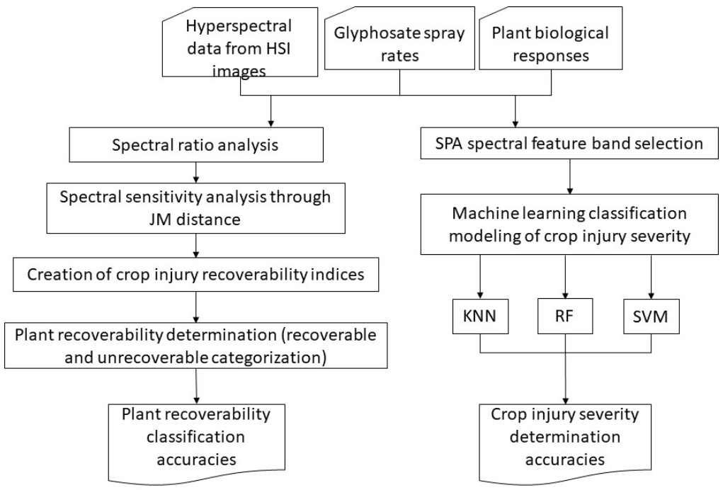 Agronomy 11 00583 g004
