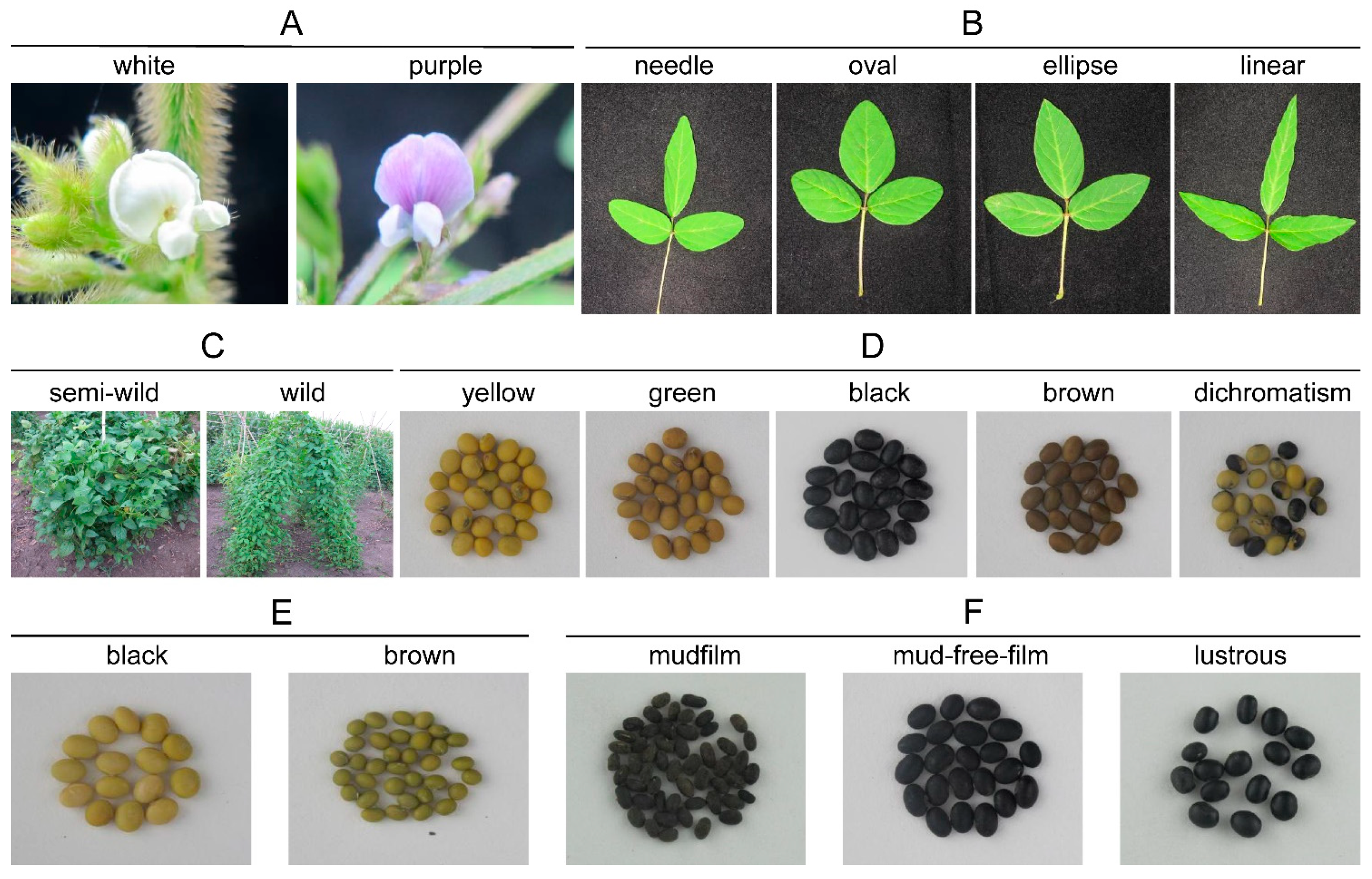 Agronomy 11 00586 g002