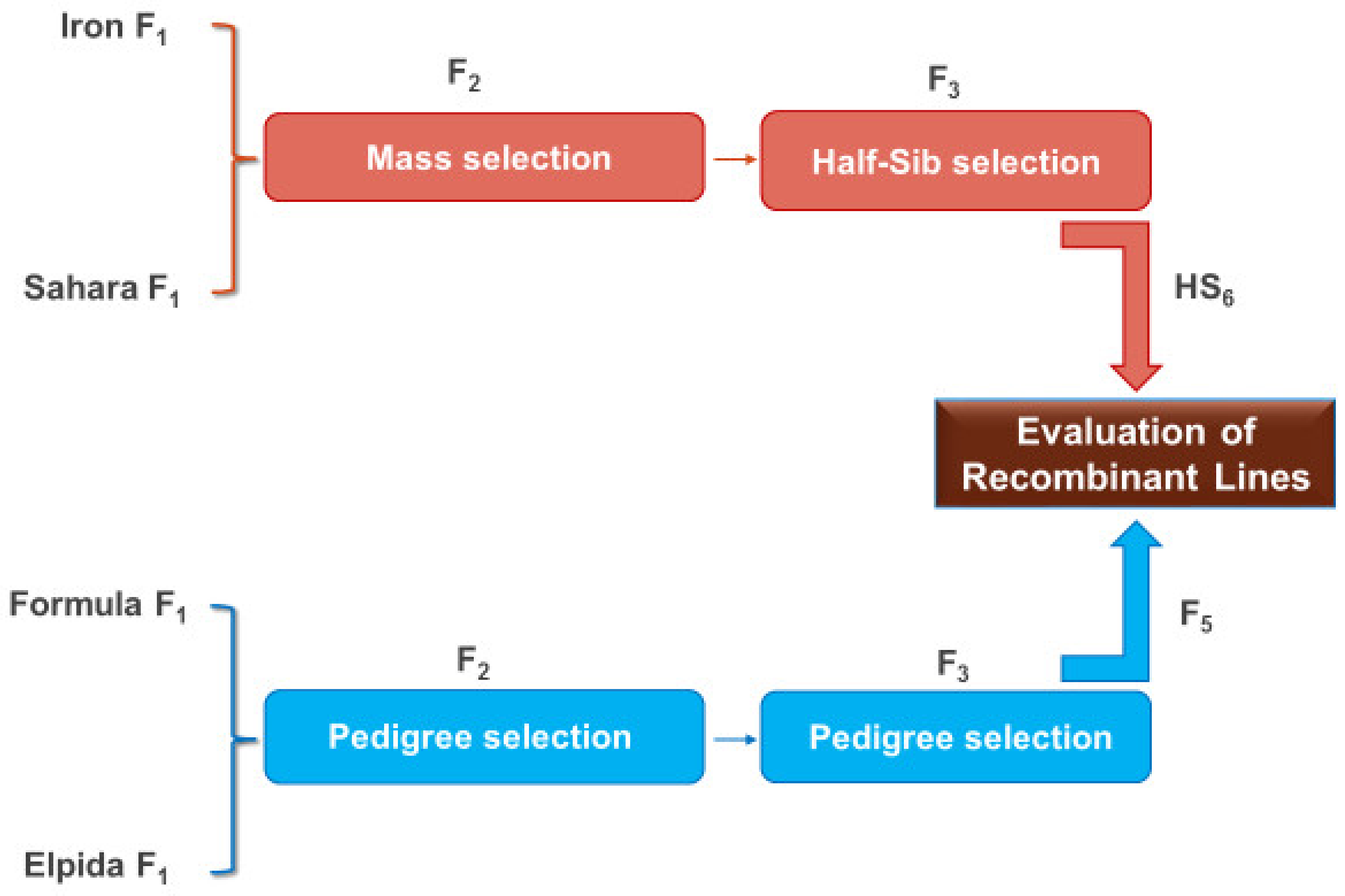 Agronomy 11 00609 g001 Agronomy 11 00609 g001
