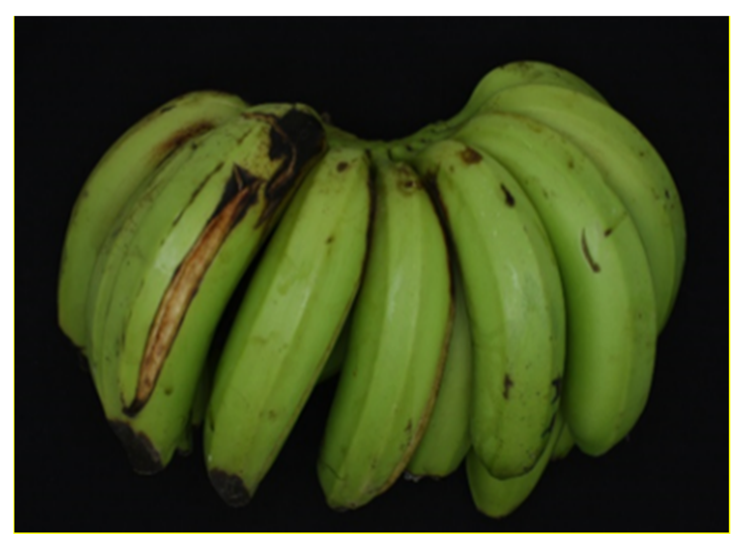 Agronomy 11 00610 g002 Agronomy 11 00610 g002