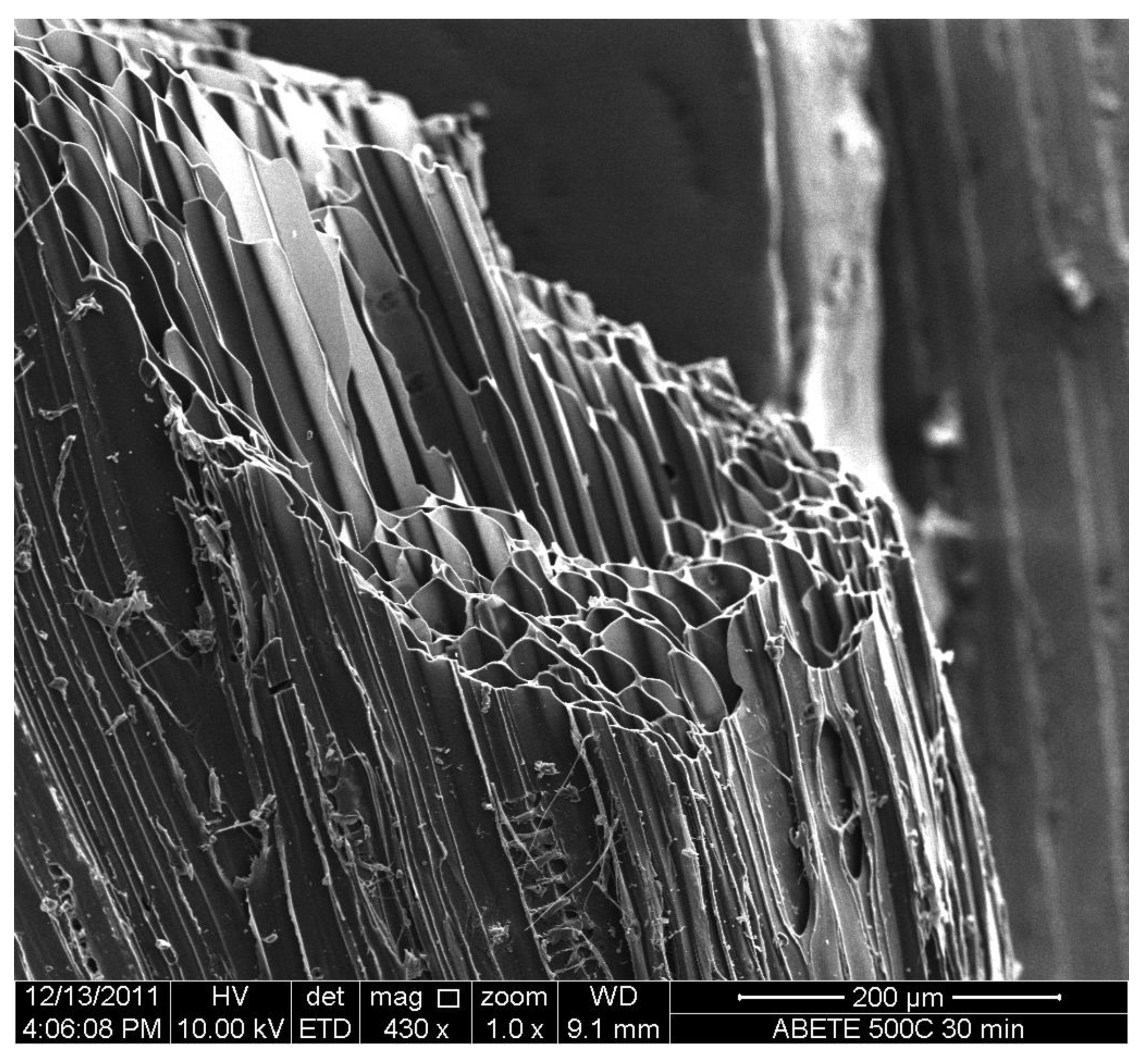 Agronomy Free Full Text Recent Developments In Understanding Biochar S Physical Chemistry Html