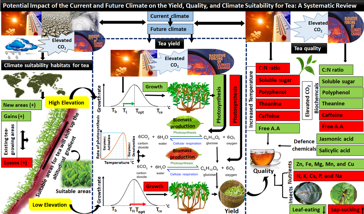 Agronomy Impact Factor