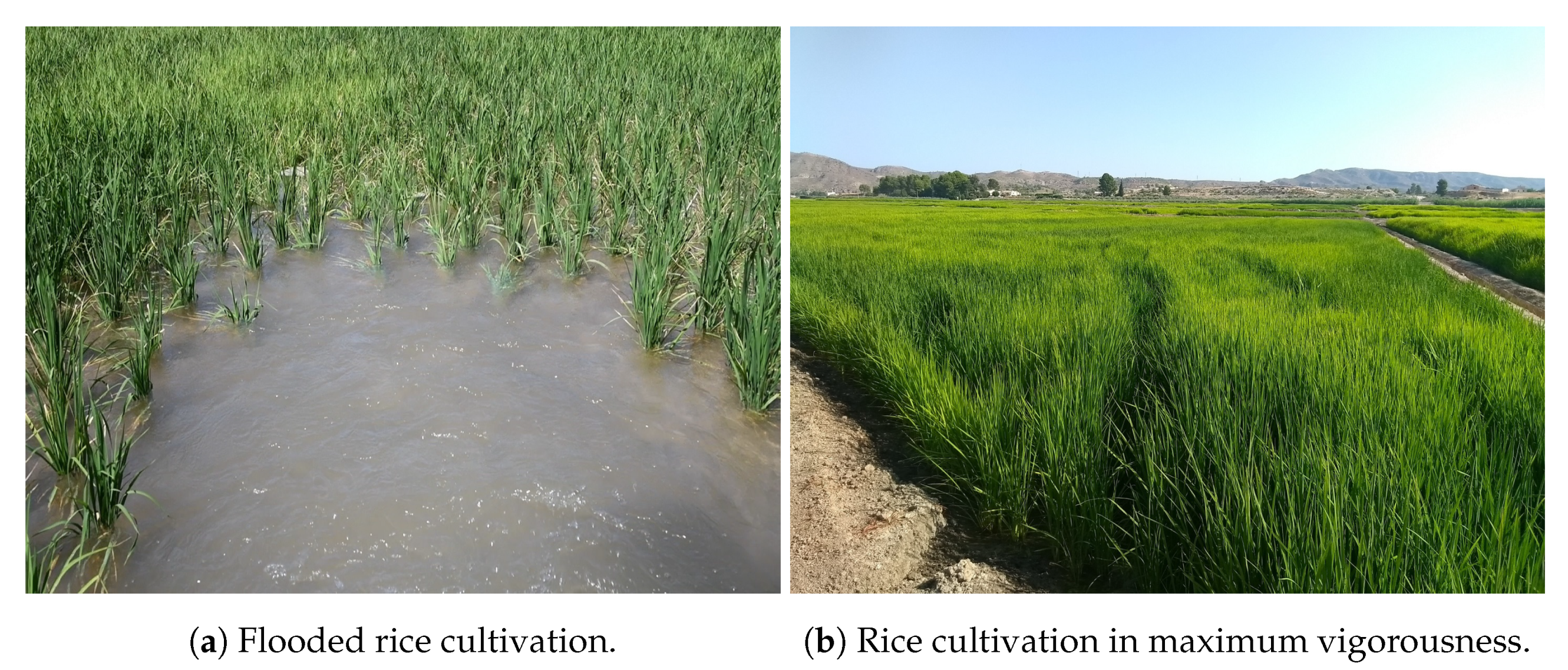 Agronomy 11 00621 g002