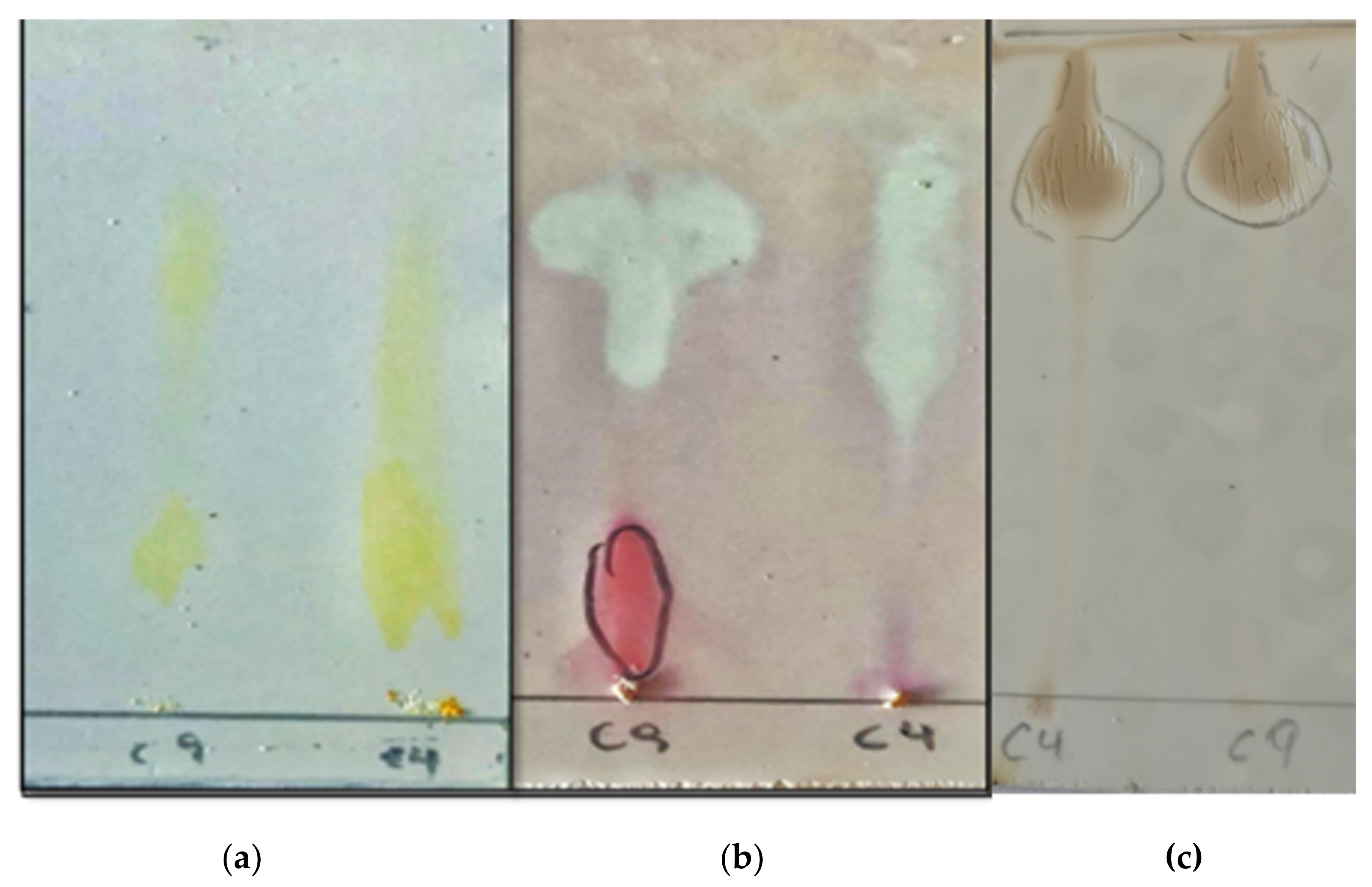 Agronomy 11 00624 g004 Agronomy 11 00624 g004