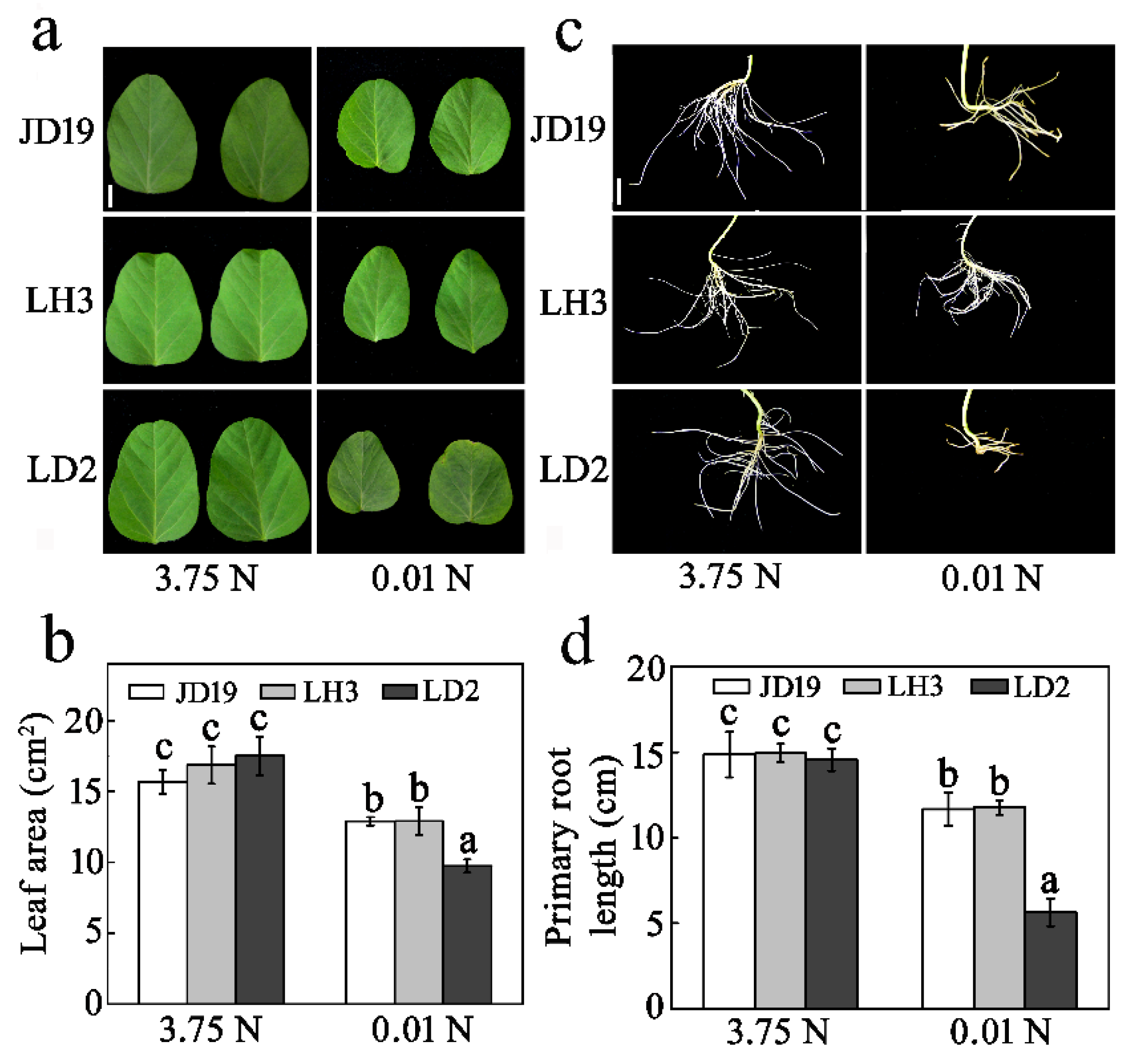 Agronomy 11 00637 g001 Agronomy 11 00637 g001