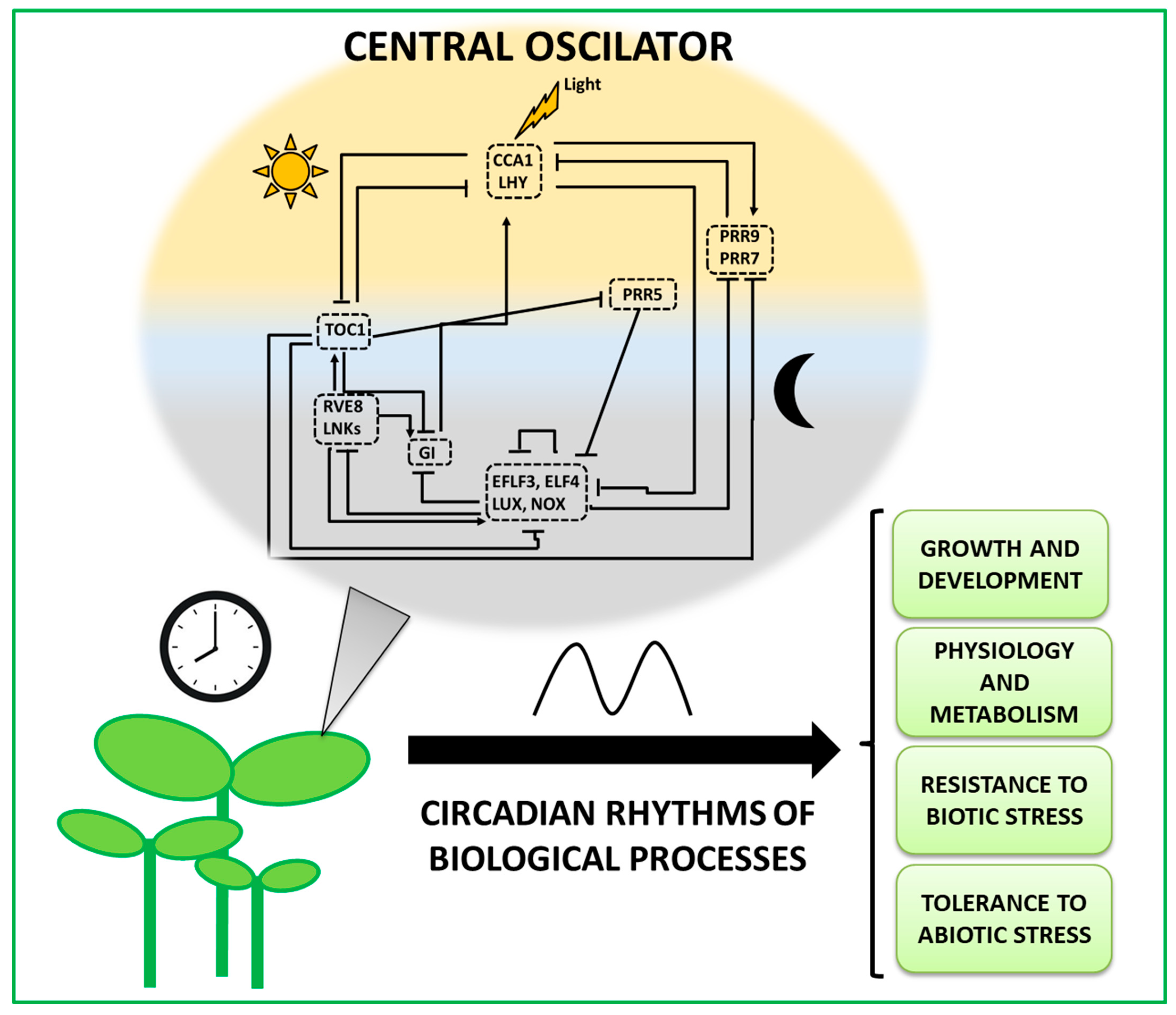 Agronomy 11 00639 g001