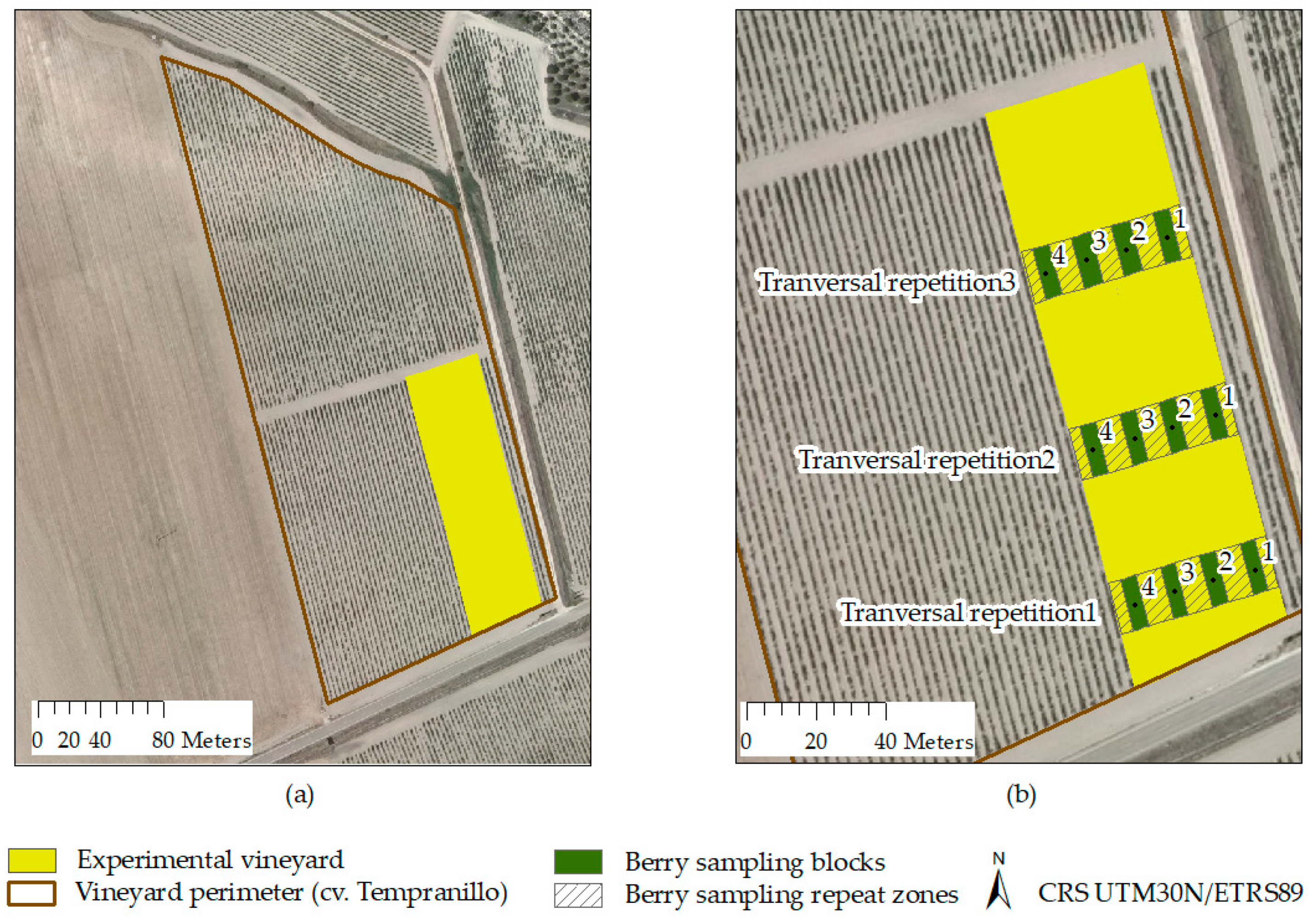 Agronomy 11 00655 g003