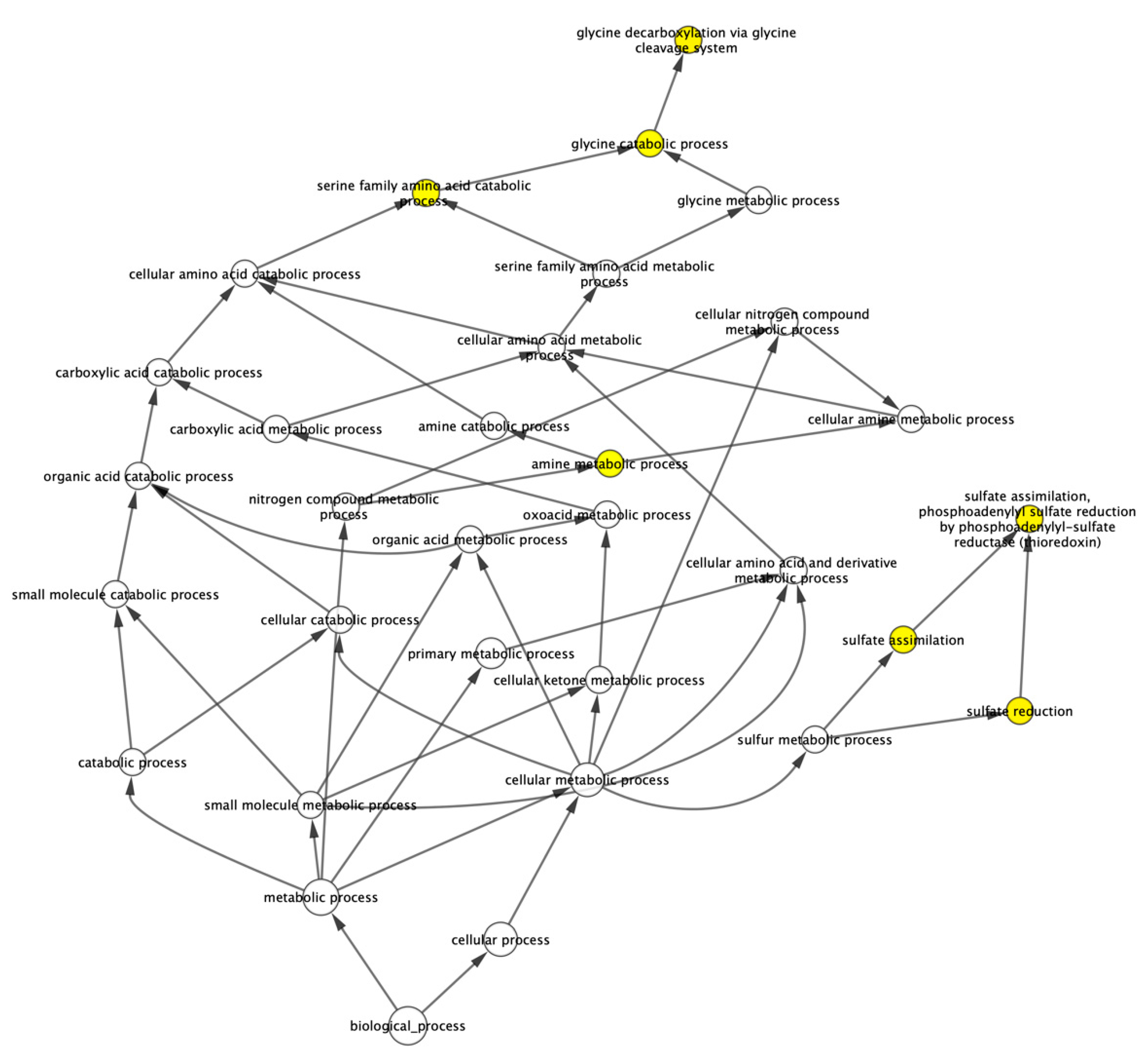 Agronomy 11 00656 g003b Agronomy 11 00656 g003b