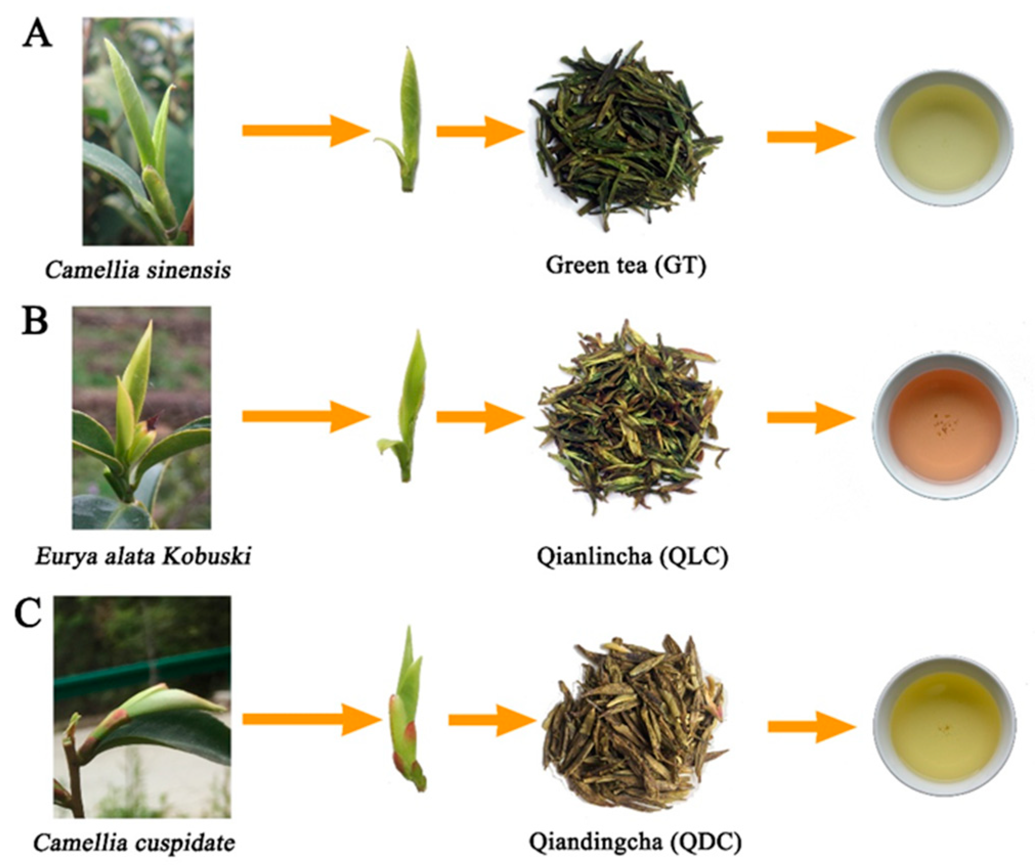 Agronomy 11 00657 g001